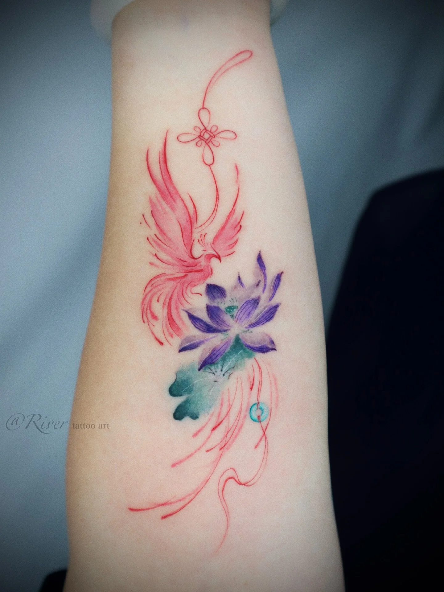 ✨ Phoenix and lotus with a touch of Chinese knot &mdash; grace, rebirth, and good fortune in watercolor flow.

#FlushingTattoo #NYCTattoo #WatercolorTattoo #FineLineTattoo #LotusTattoo #PhoenixTattoo #ChineseKnotTattoo #CustomTattoo #AsianInspiredTat