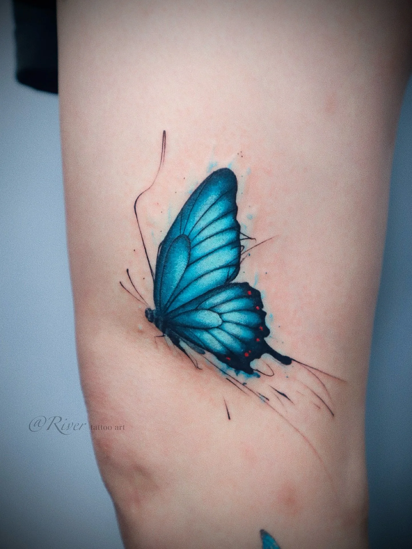 So colorful butterfly,light and free.
#NYCTattoo #FlushingNY #NewYorkTattoo #WatercolorTattoo #FineLineTattoo #InkTattoo #DelicateTattoo #ButterflyTattoo #BlueButterfly #NatureTattoo #MinimalTattoo #InkFlow #TattooArtistry #TattooCollector #TattooArt
