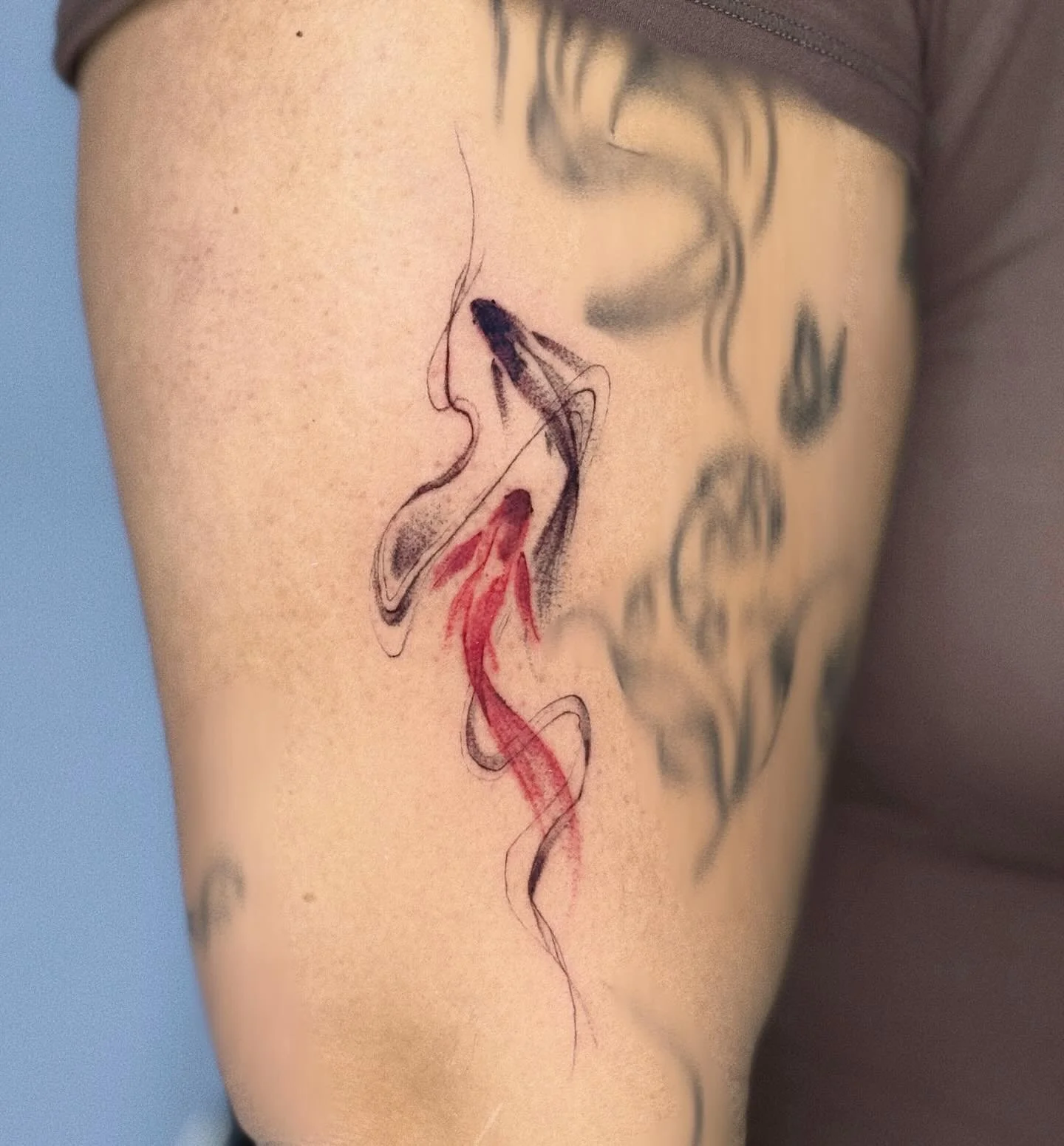 Koi fish from flash 
#flowertattoo #discounttattoo #specialtattoo #girltattoo #boytattoo #linetattoo #tattooart #tattooed #tattoogirls #nytattoo #nytattooartist #nytattoos #flushingtattoo #blackandgreytattoo #blackandgrey #tattoos #tattoostyle #girls