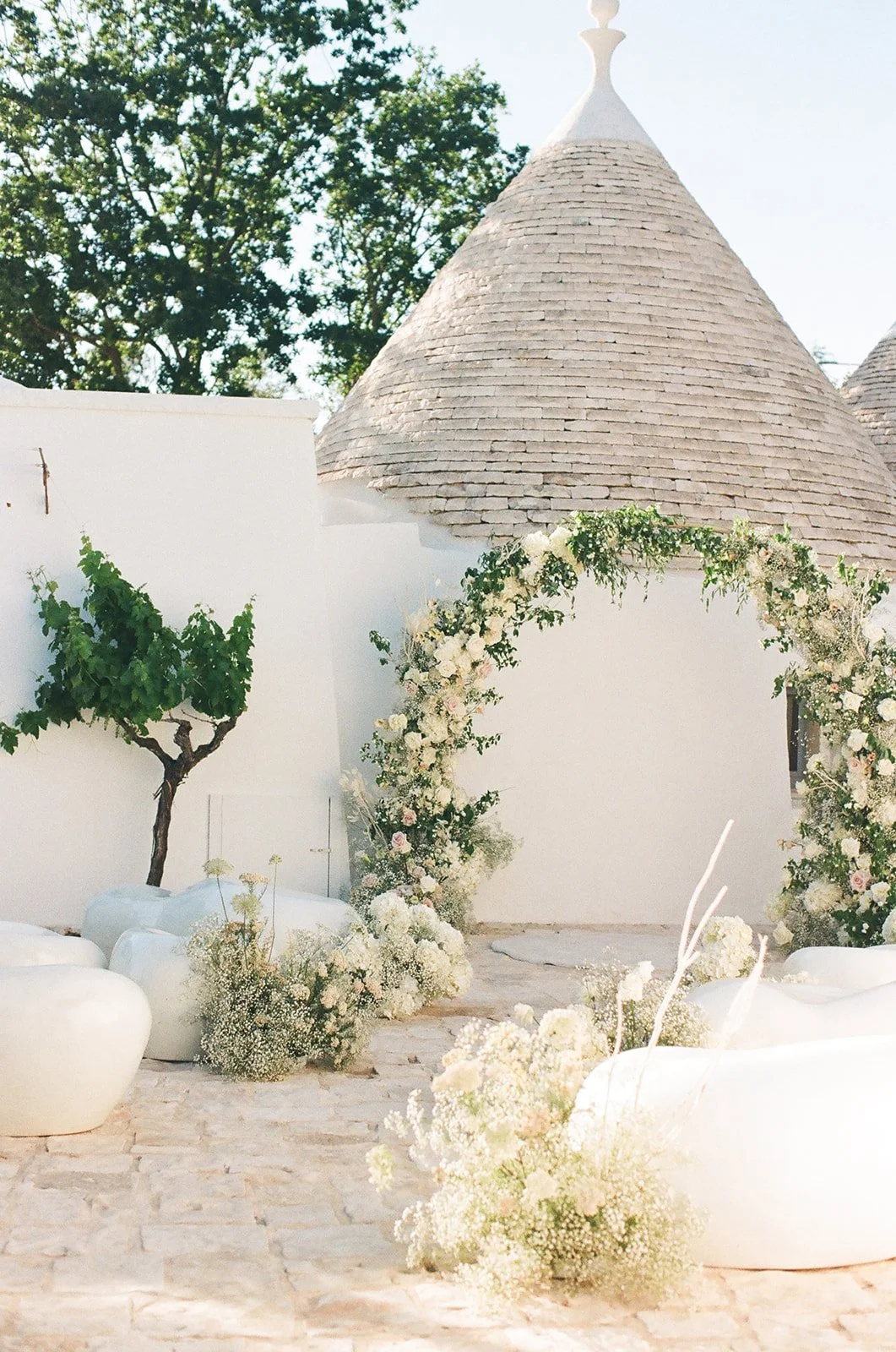 asha _26 adam film-72.jpg