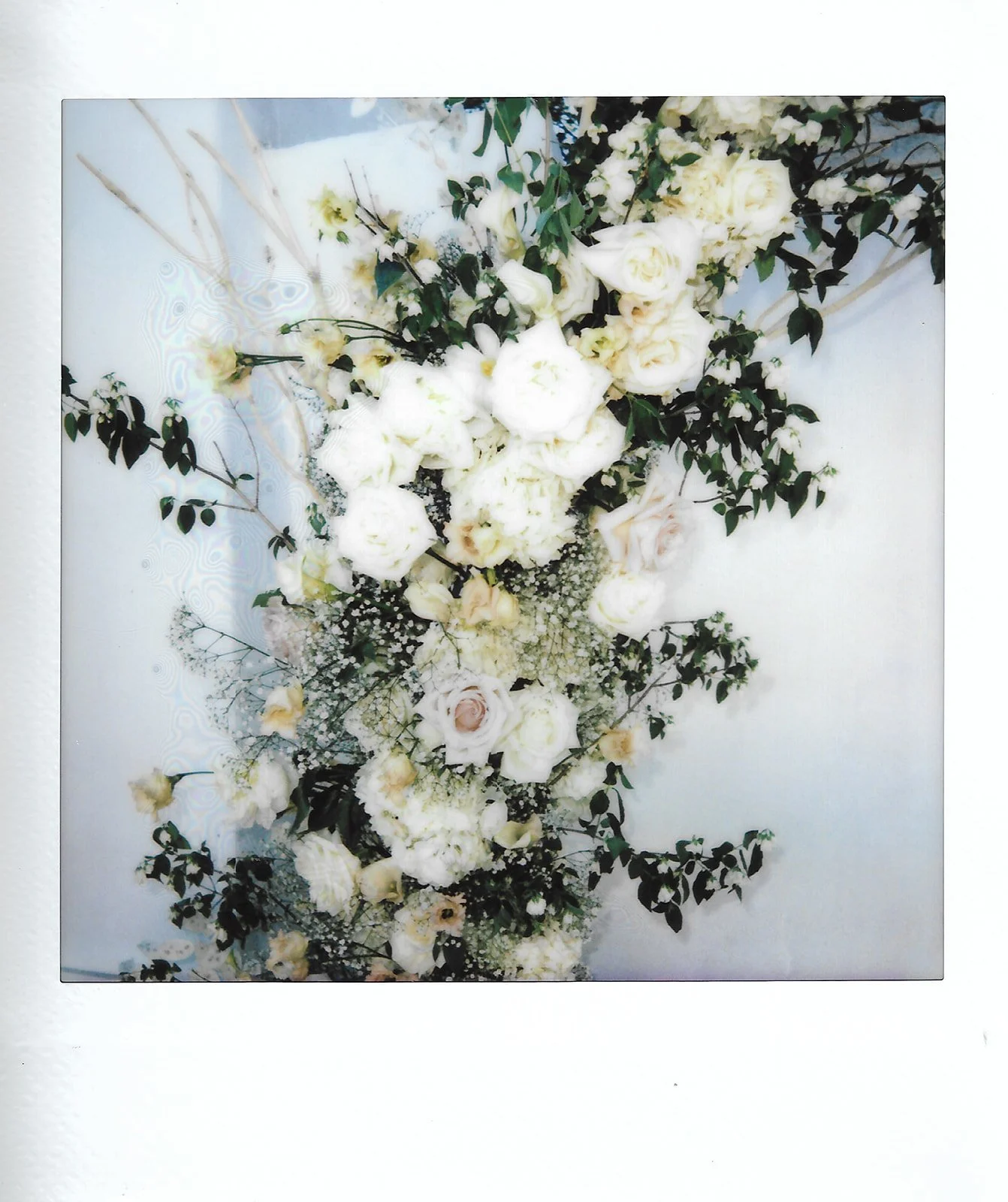 asha _26 adam polaroids-16.jpg