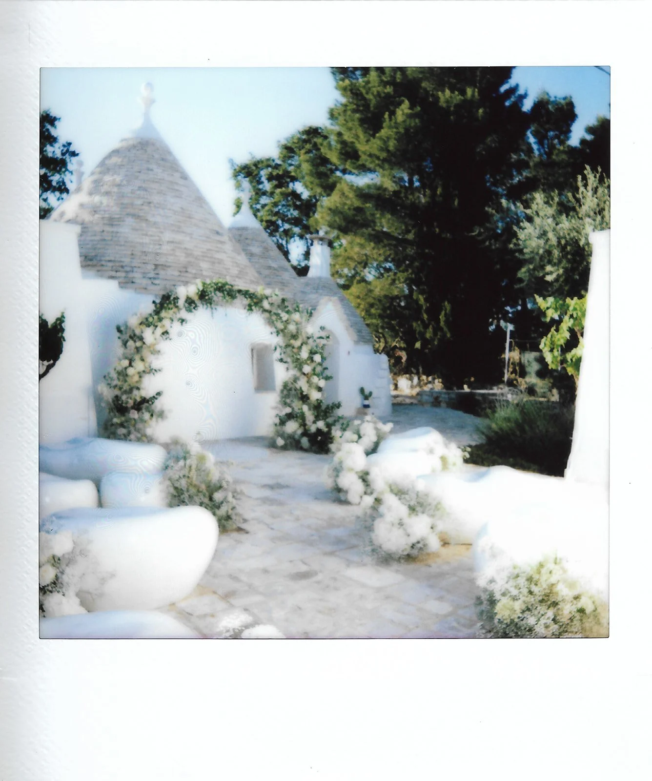 asha _26 adam polaroids-17.jpg