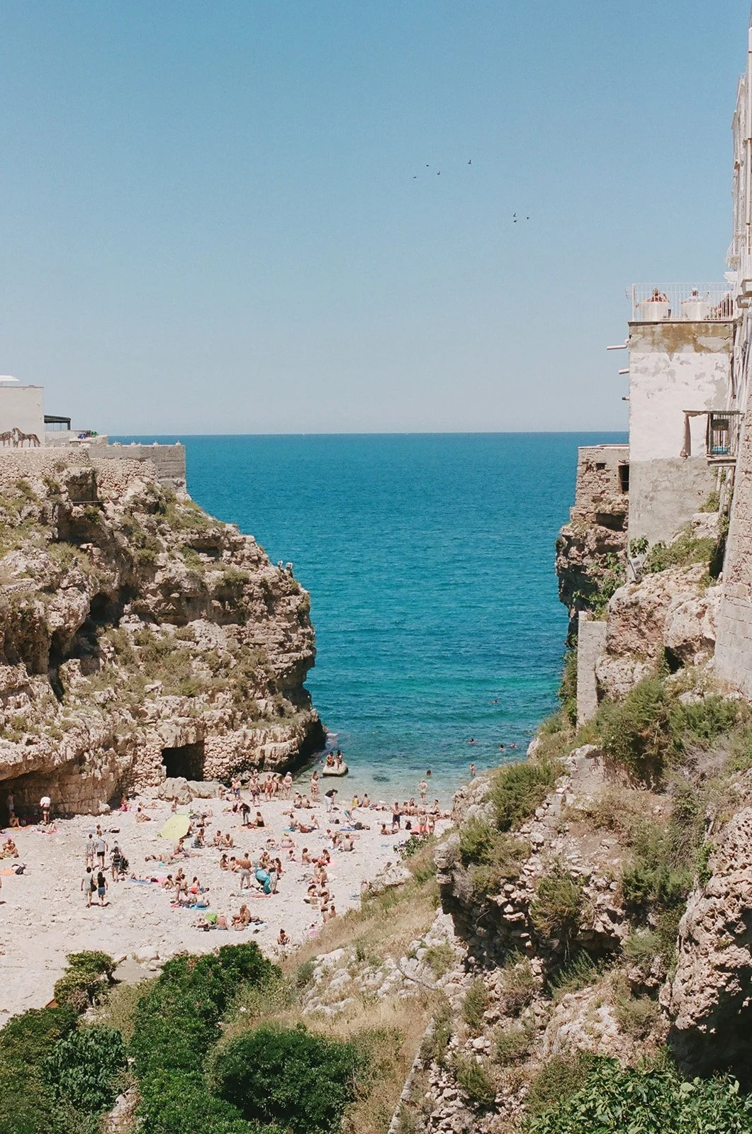 asha _26 adam film-132.jpg