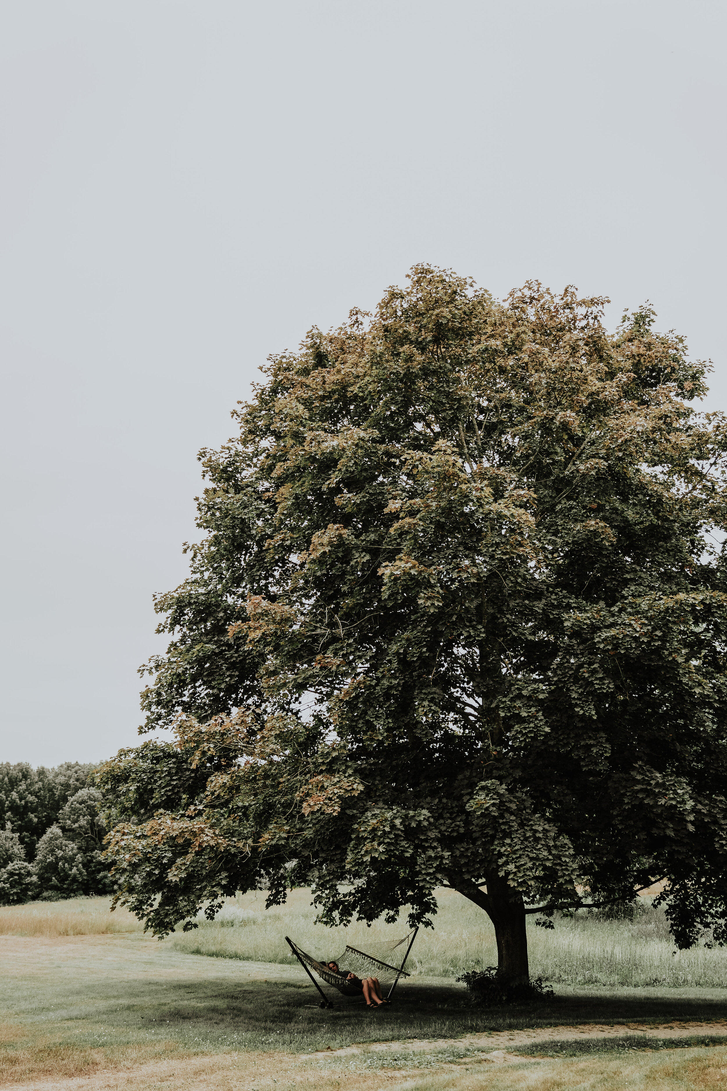 heather & william | for love with love | tucson arizona