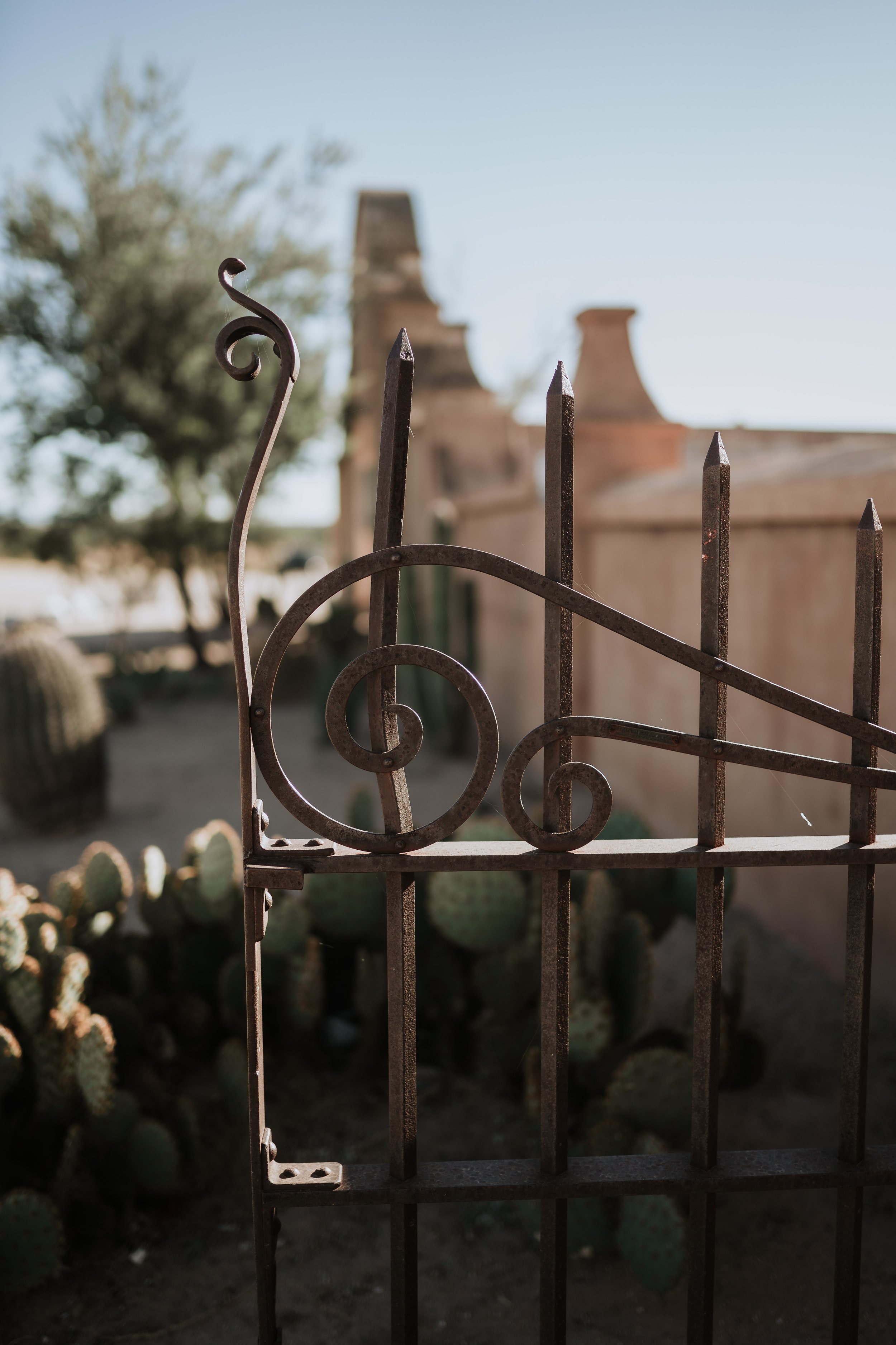 elizabeth & keil | for love with love | tucson arizona