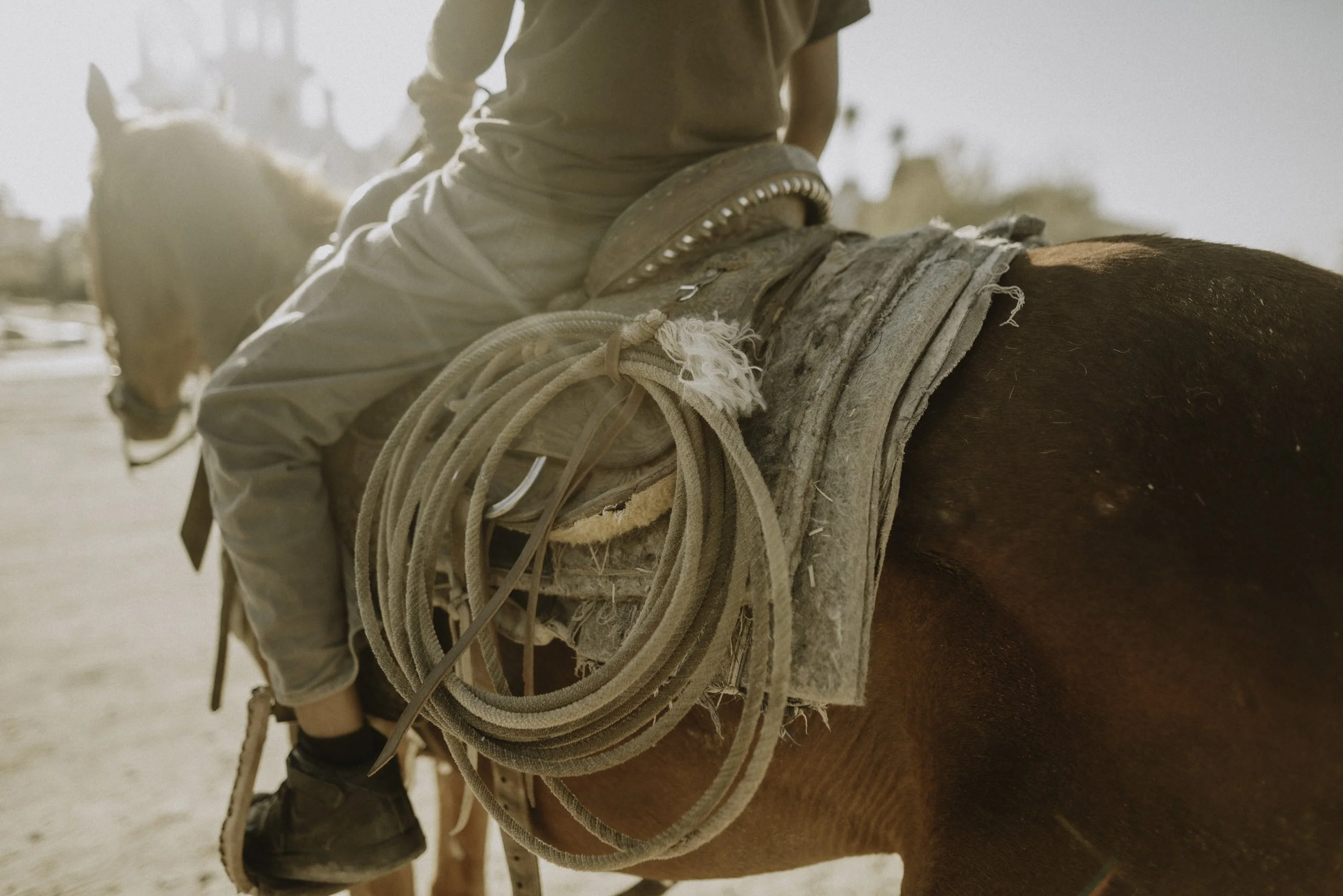 amanda & Ian | for love with love | tucson arizona