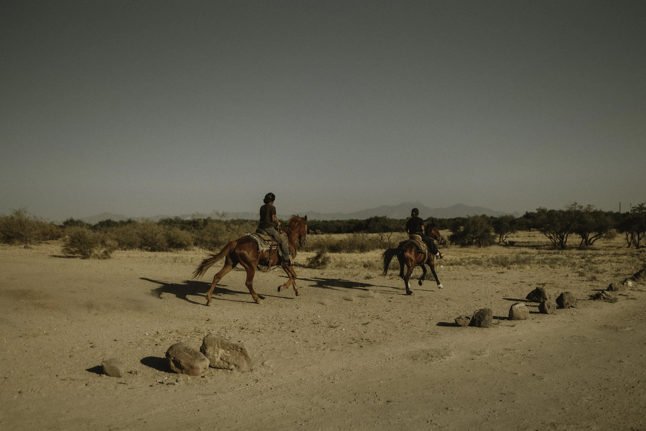 amanda & Ian | for love with love | tucson arizona