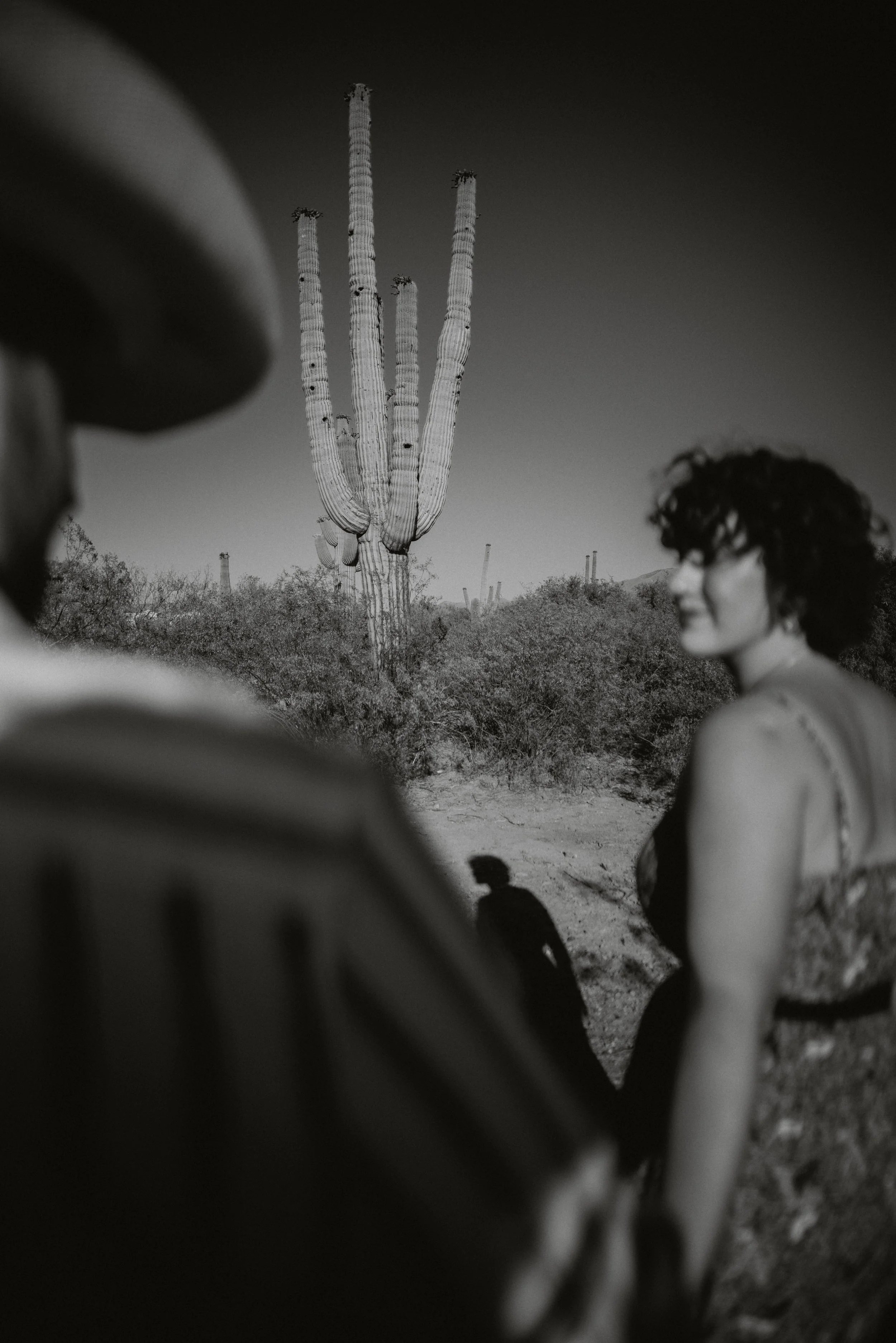 lily & cody | for love with love | tucson arizona