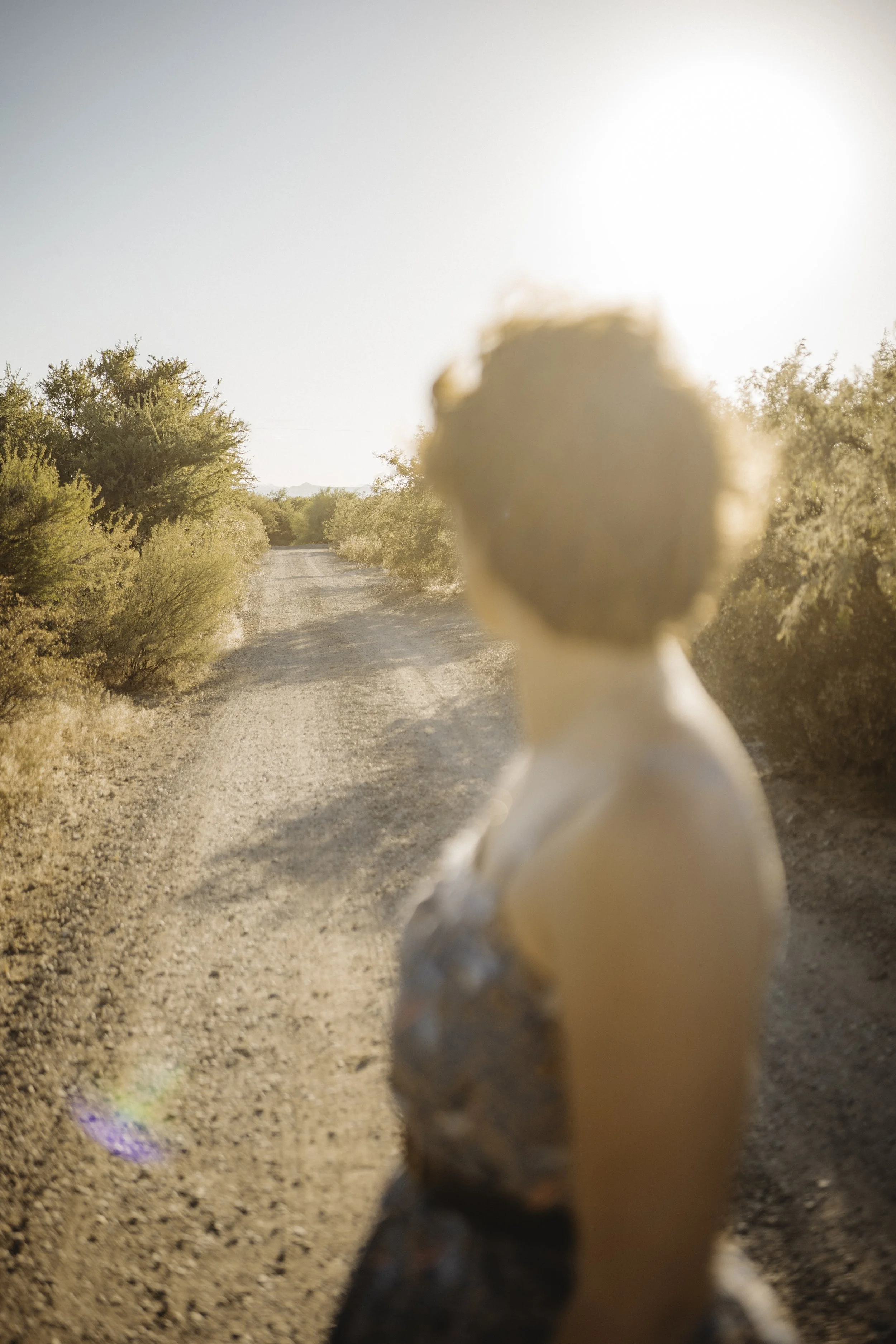 lily & cody | for love with love | tucson arizona