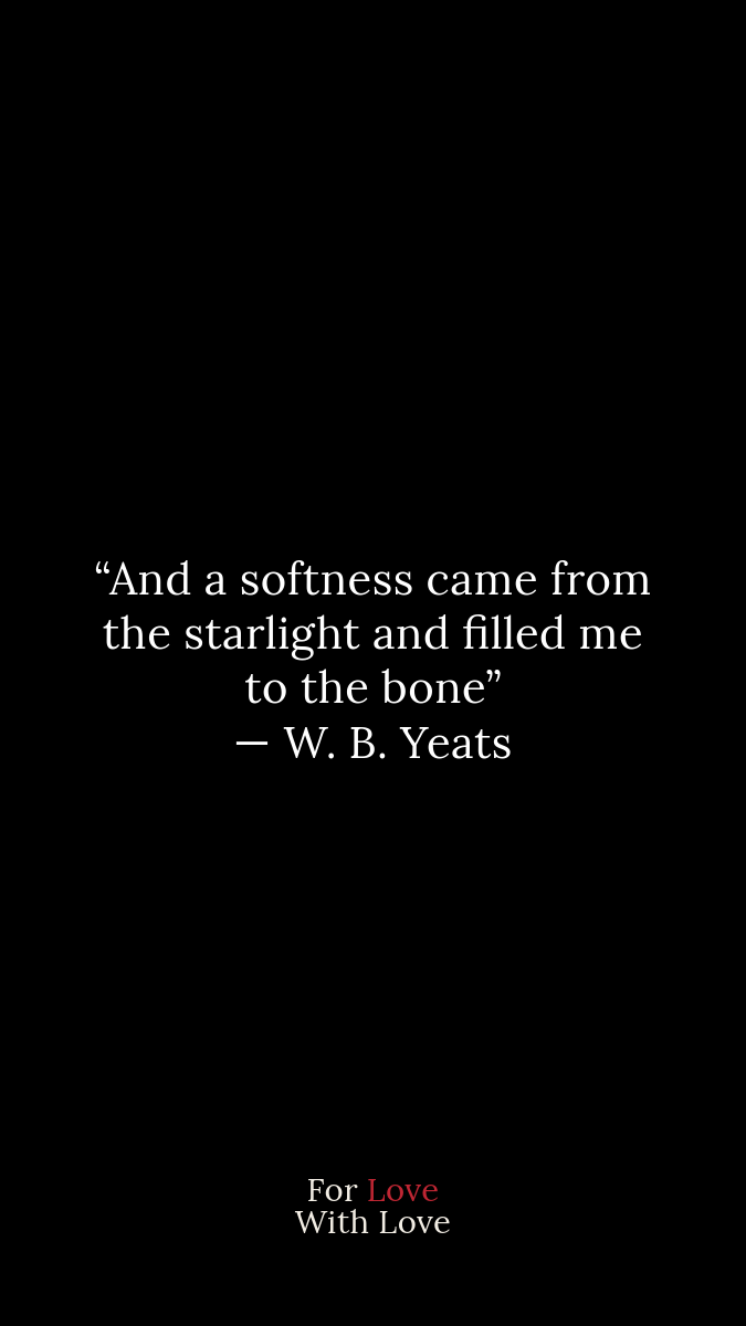 erin & william's wedding  | for love with love | tucson arizona