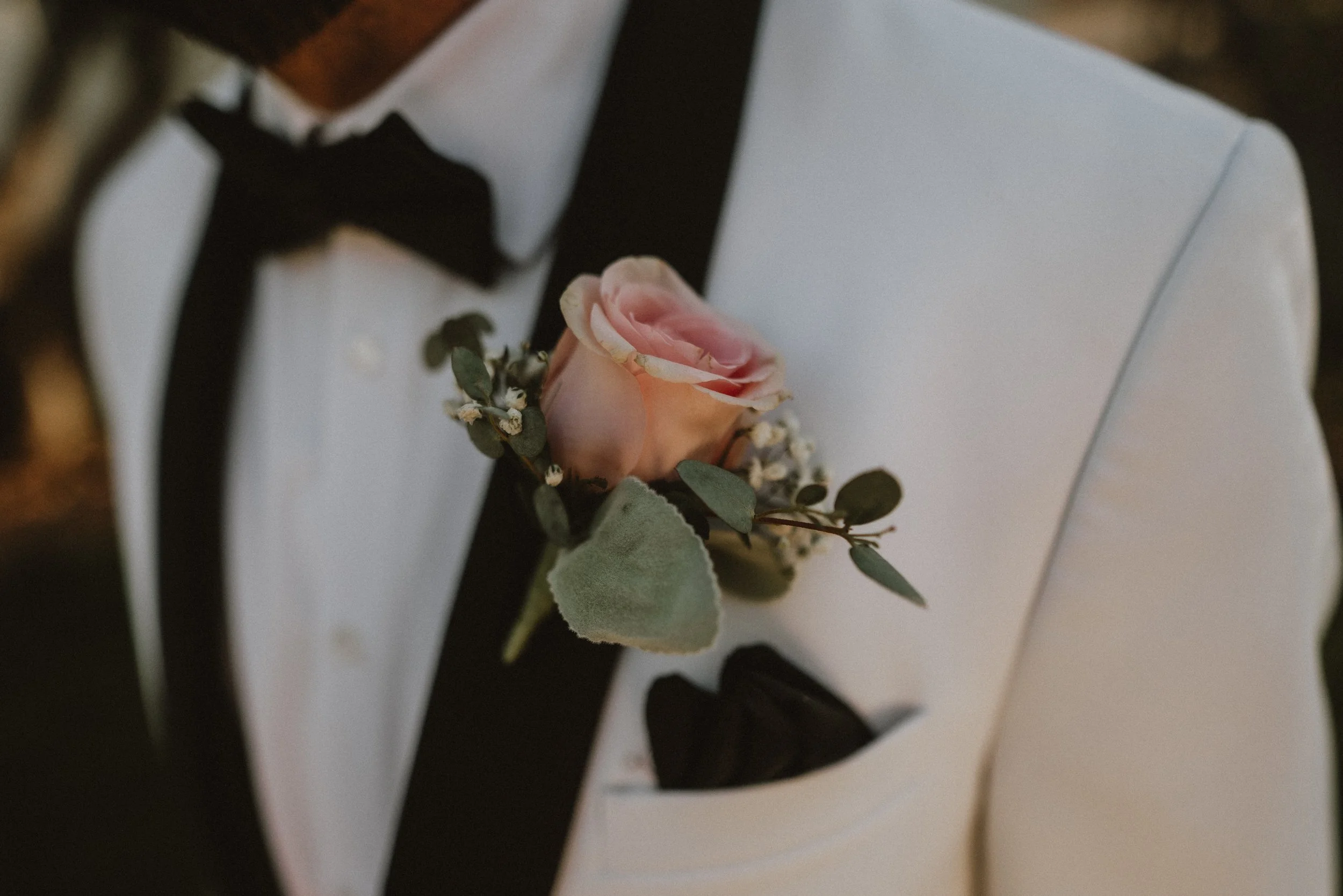 lauren & d'Angelo's wedding  | for love with love | tucson arizona