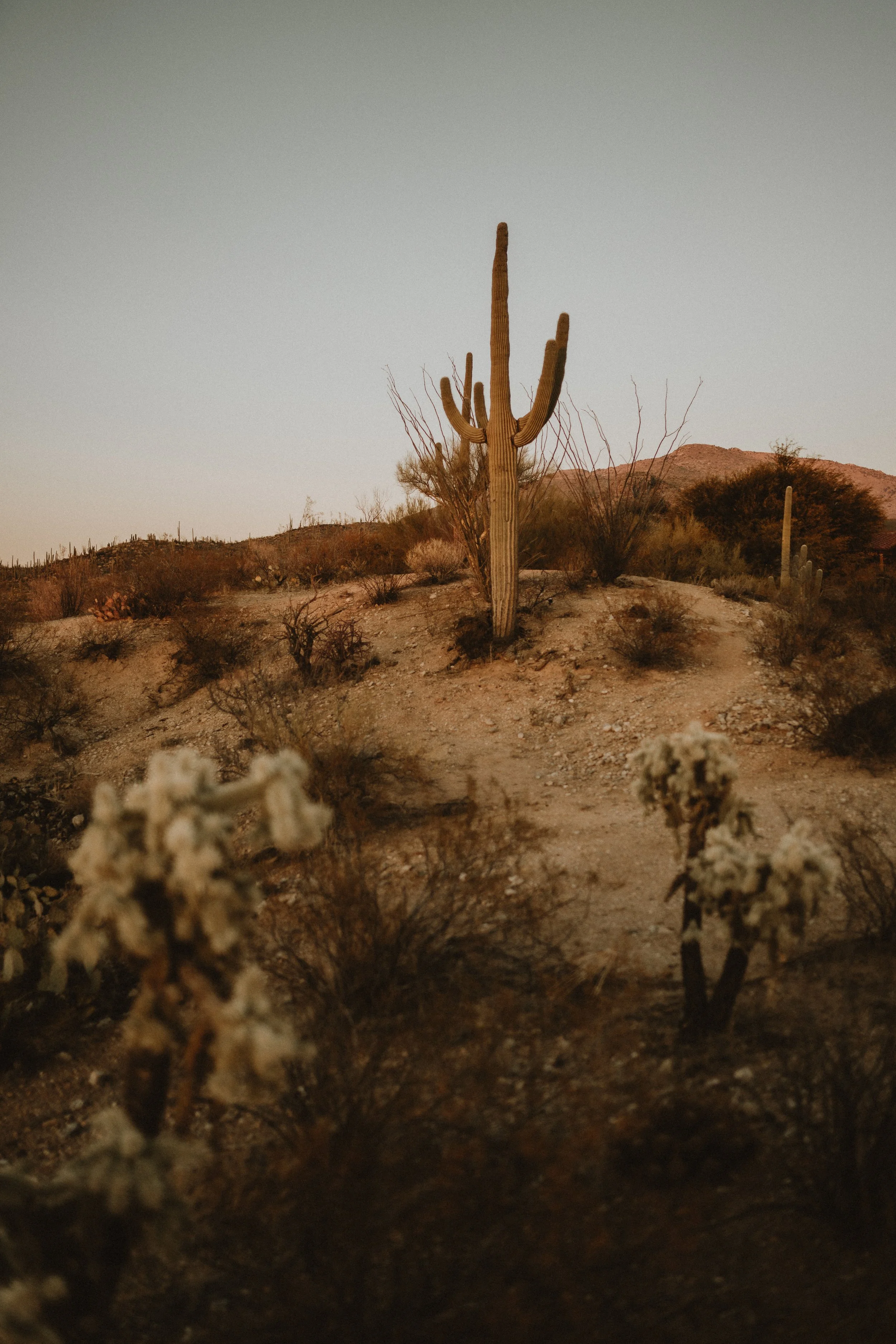 nicole & ashton's wedding  | for love with love | tucson arizona