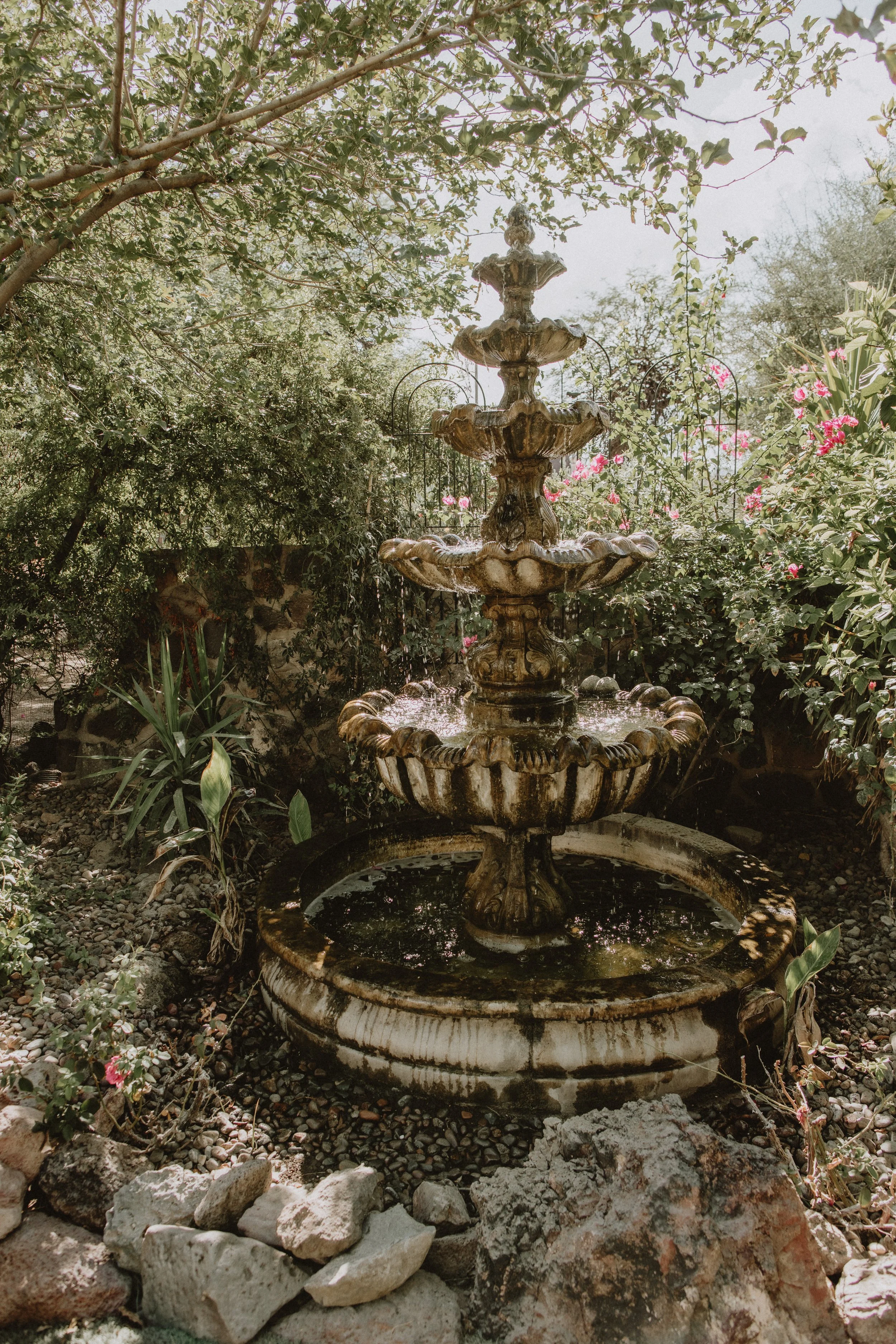 zandrea meseker's wedding | for love with love | tucson arizona