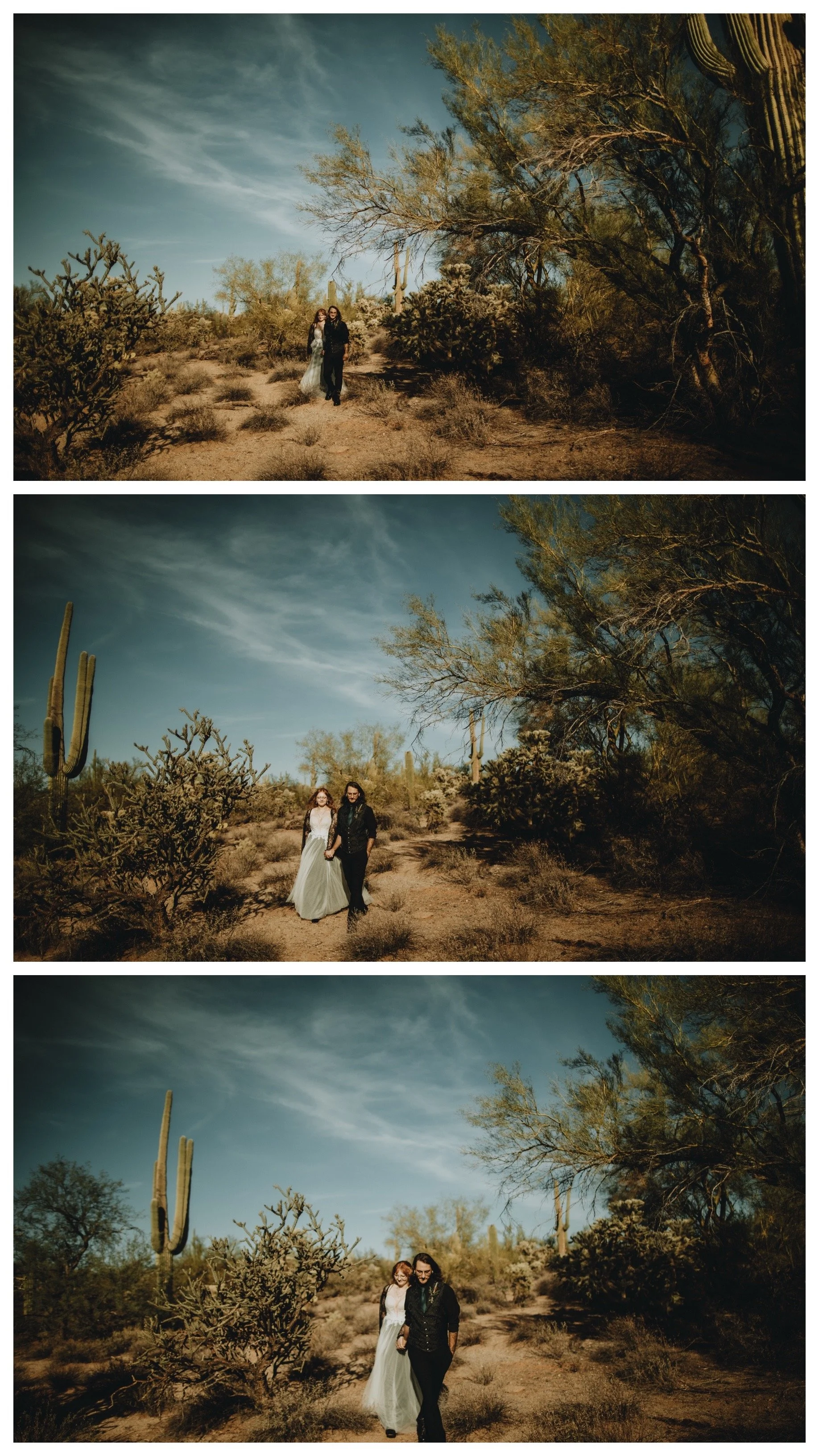 azaree & cole's wedding | for love with love | tucson arizona