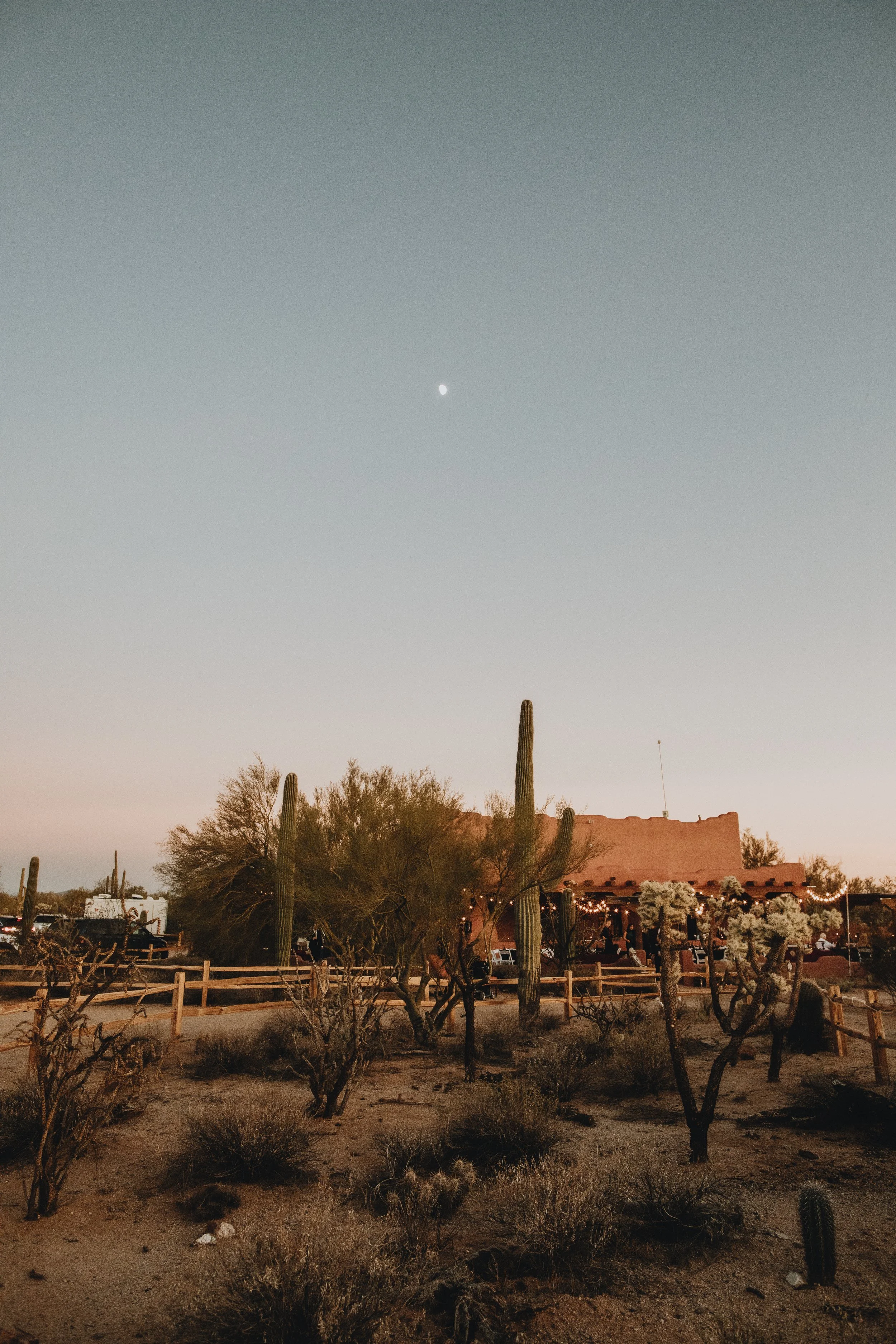 azaree & cole's wedding | for love with love | tucson arizona