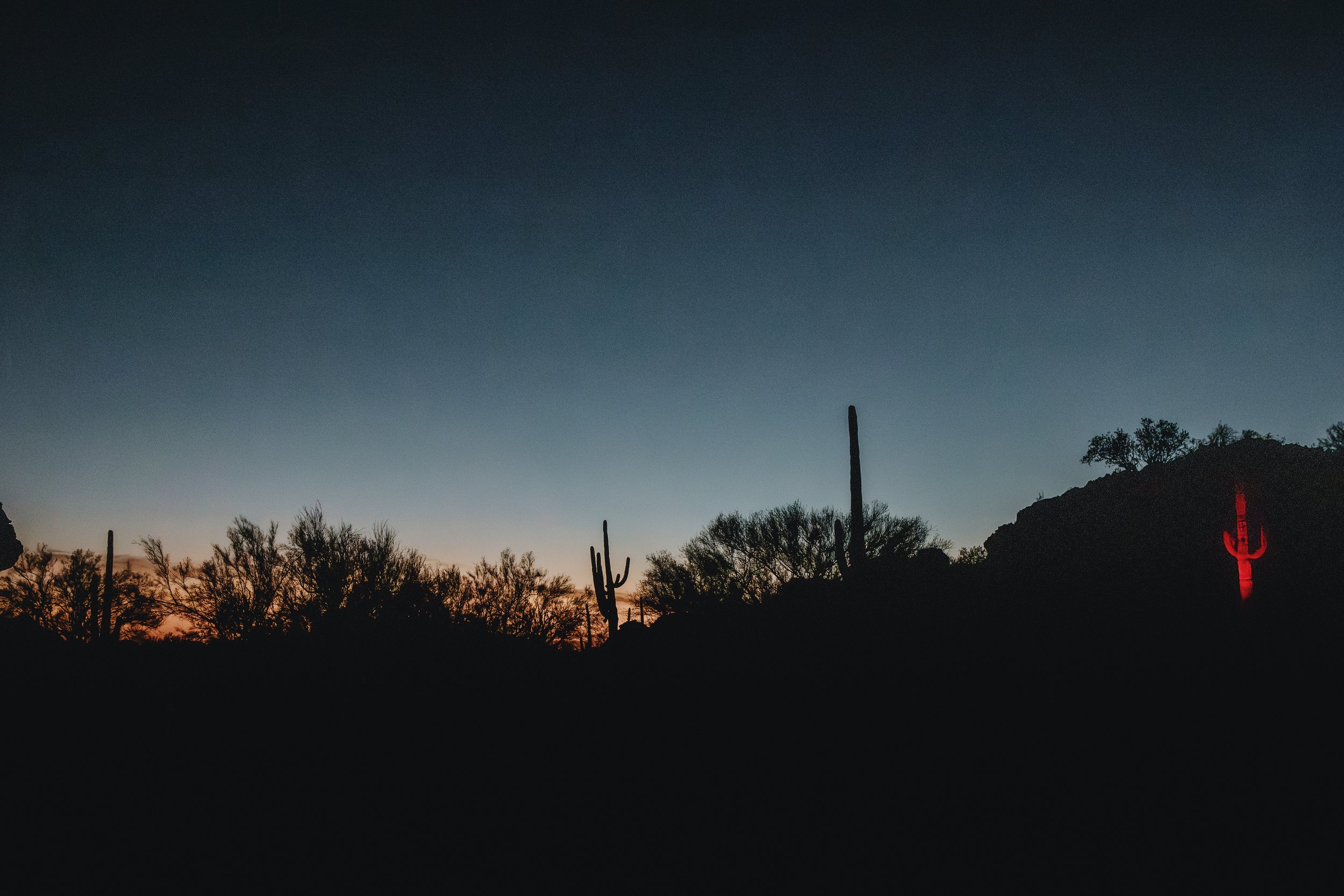 azaree & cole's wedding | for love with love | tucson arizona