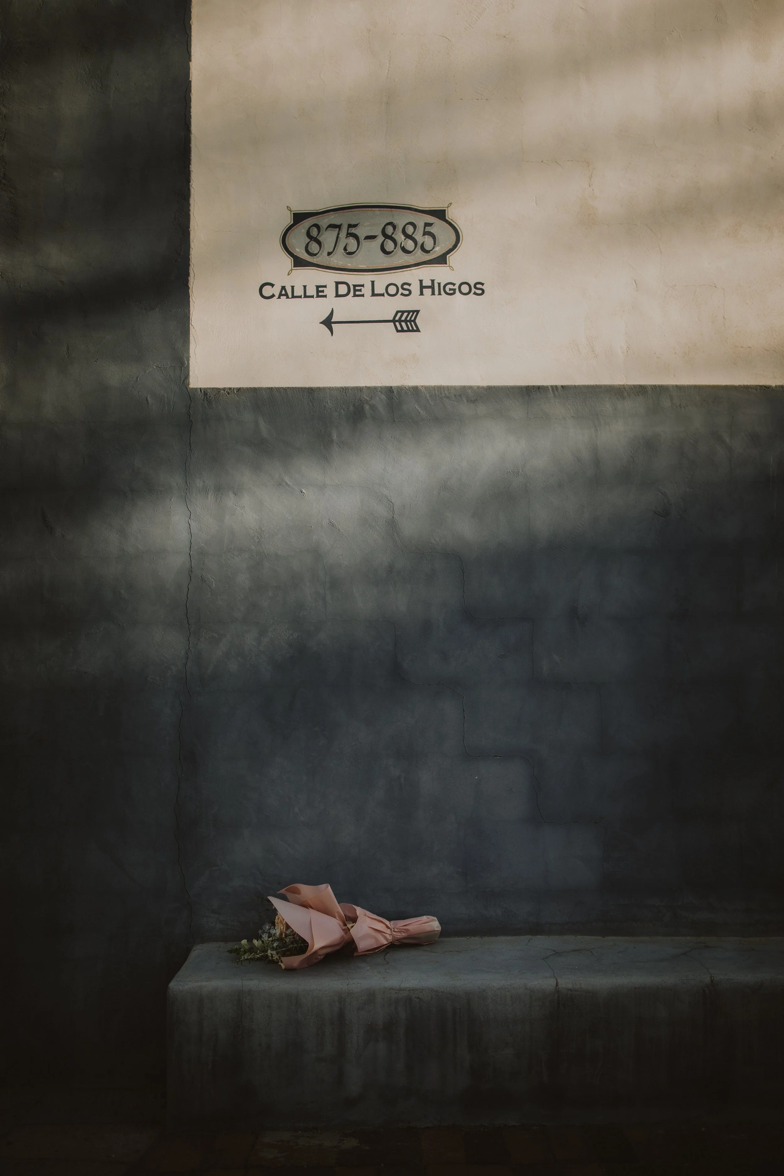 giovanna & manuel | for love with love | tucson arizona