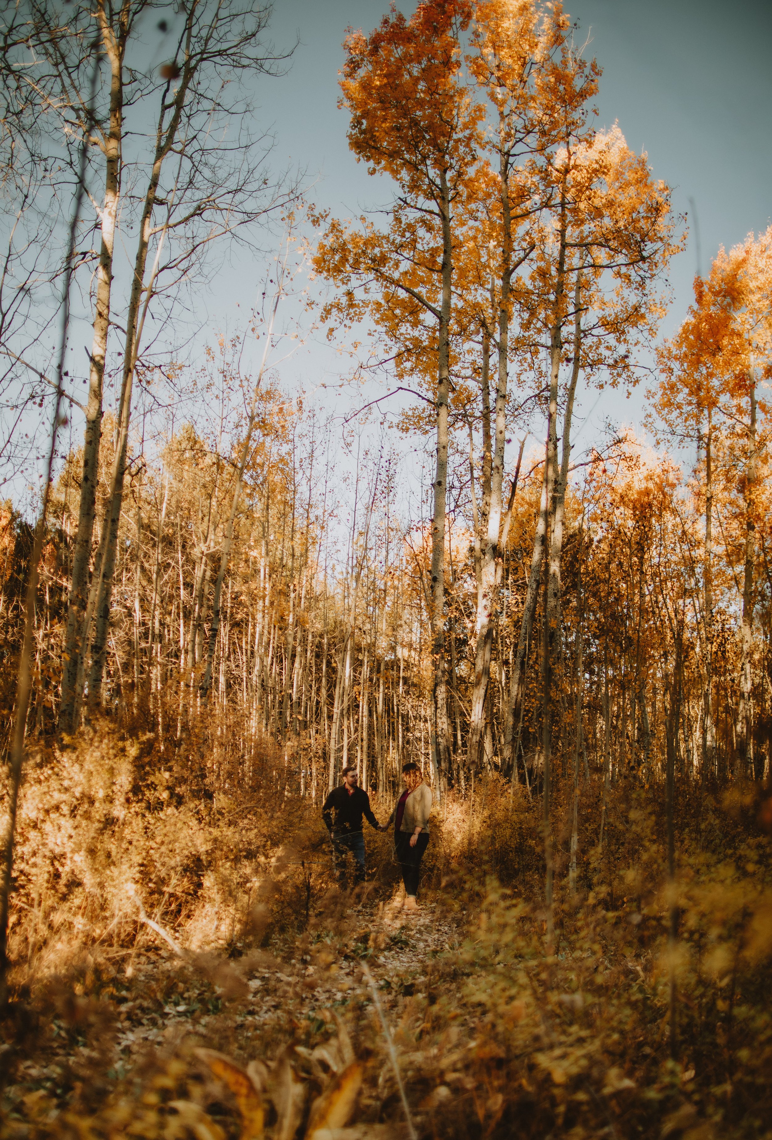sierra & josh | for love with love | tucson arizona