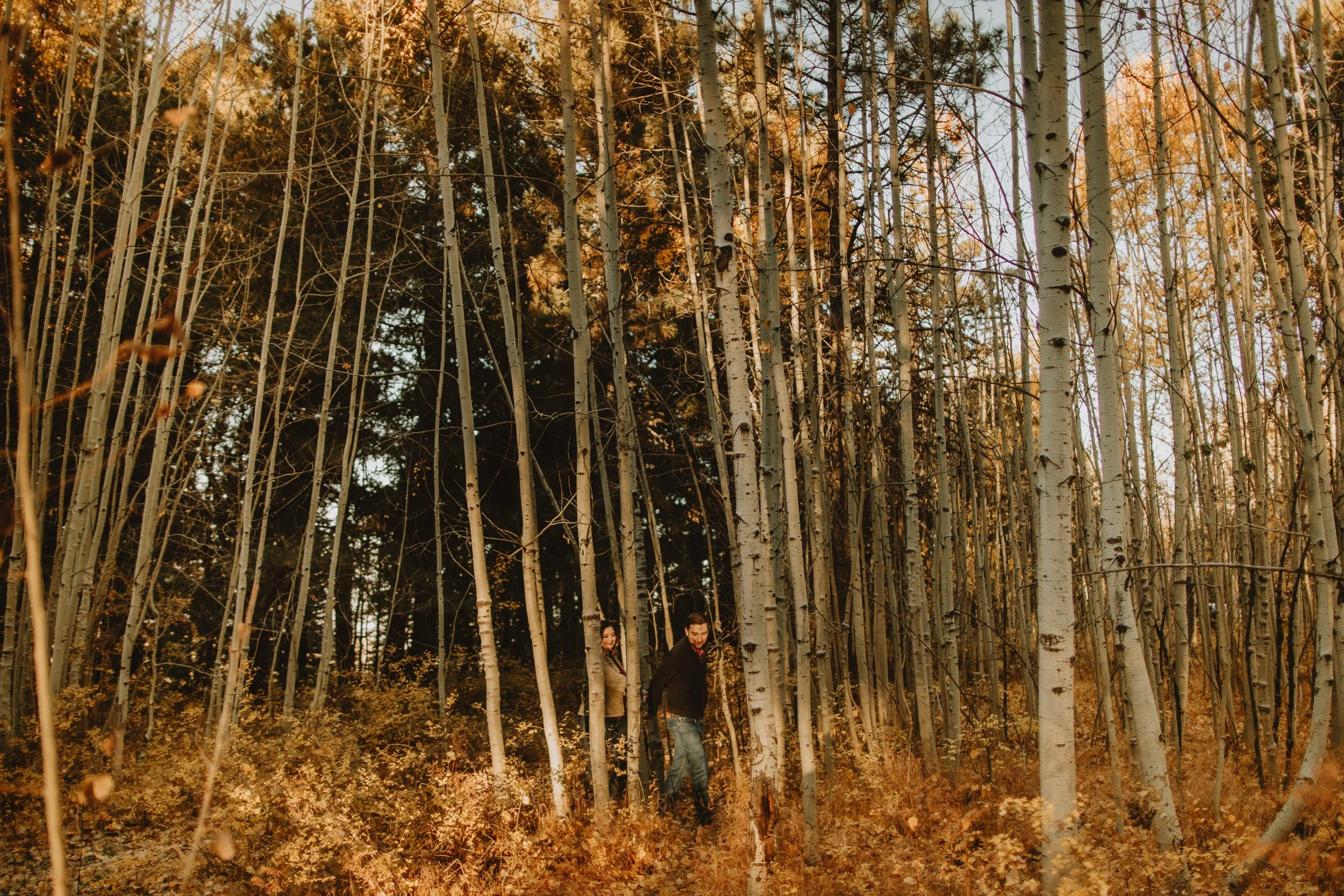 sierra & josh | for love with love | tucson arizona