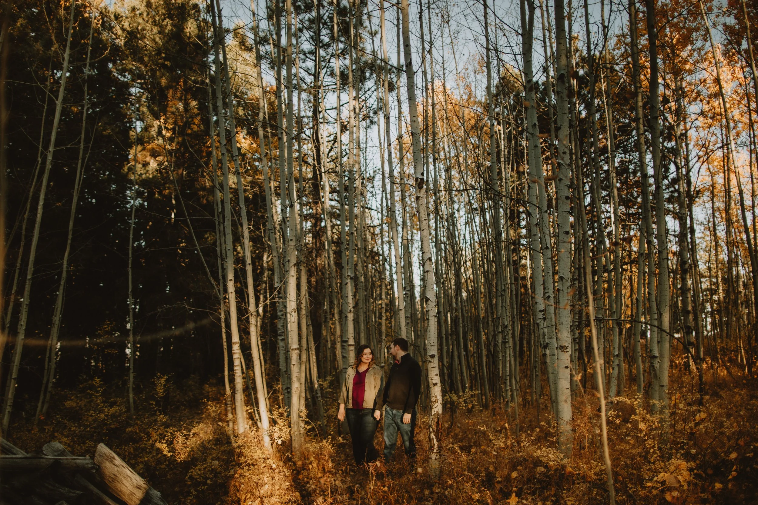 sierra & josh | for love with love | tucson arizona