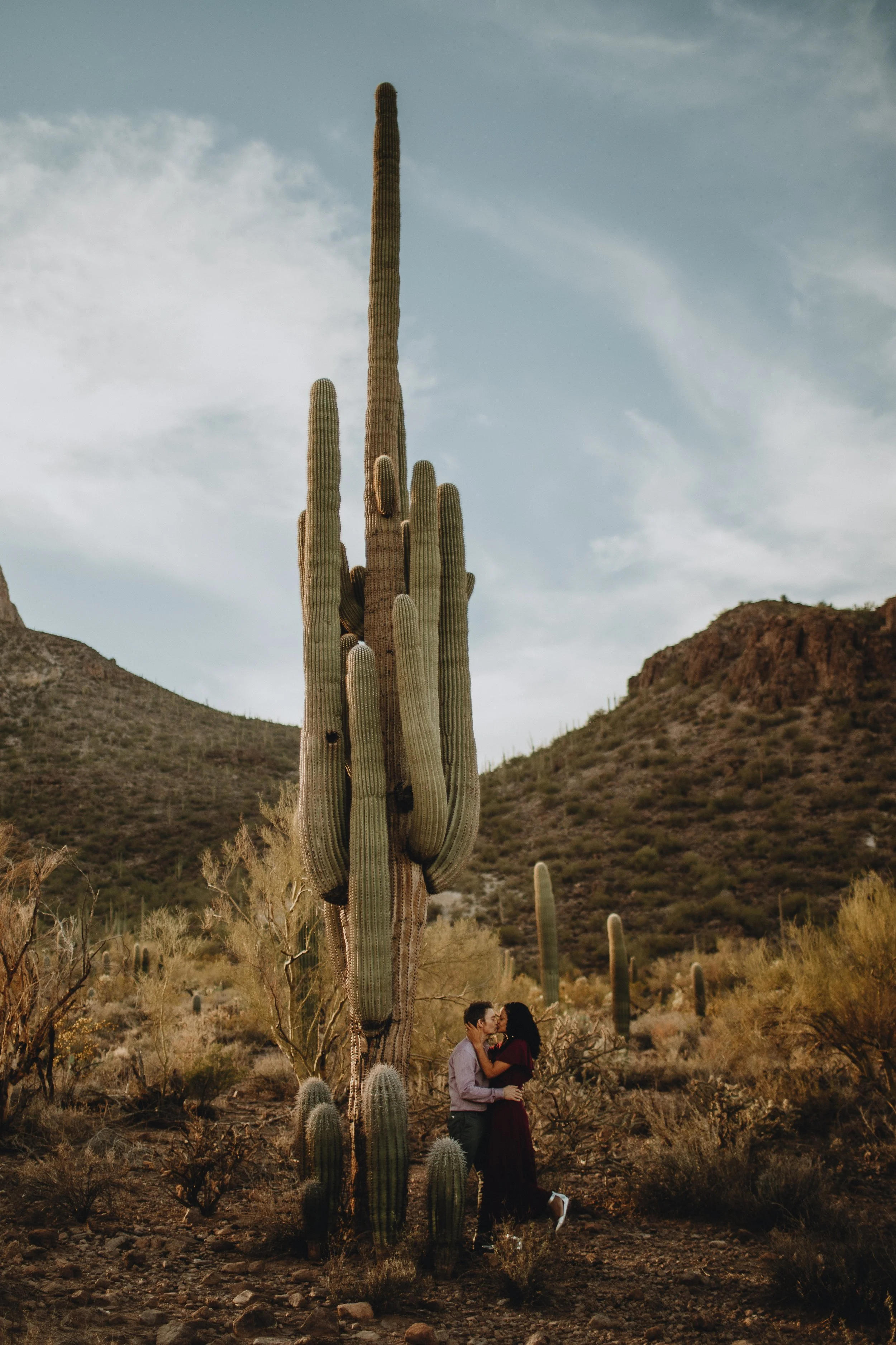 sonia & adam | for love with love | tucson, arizona