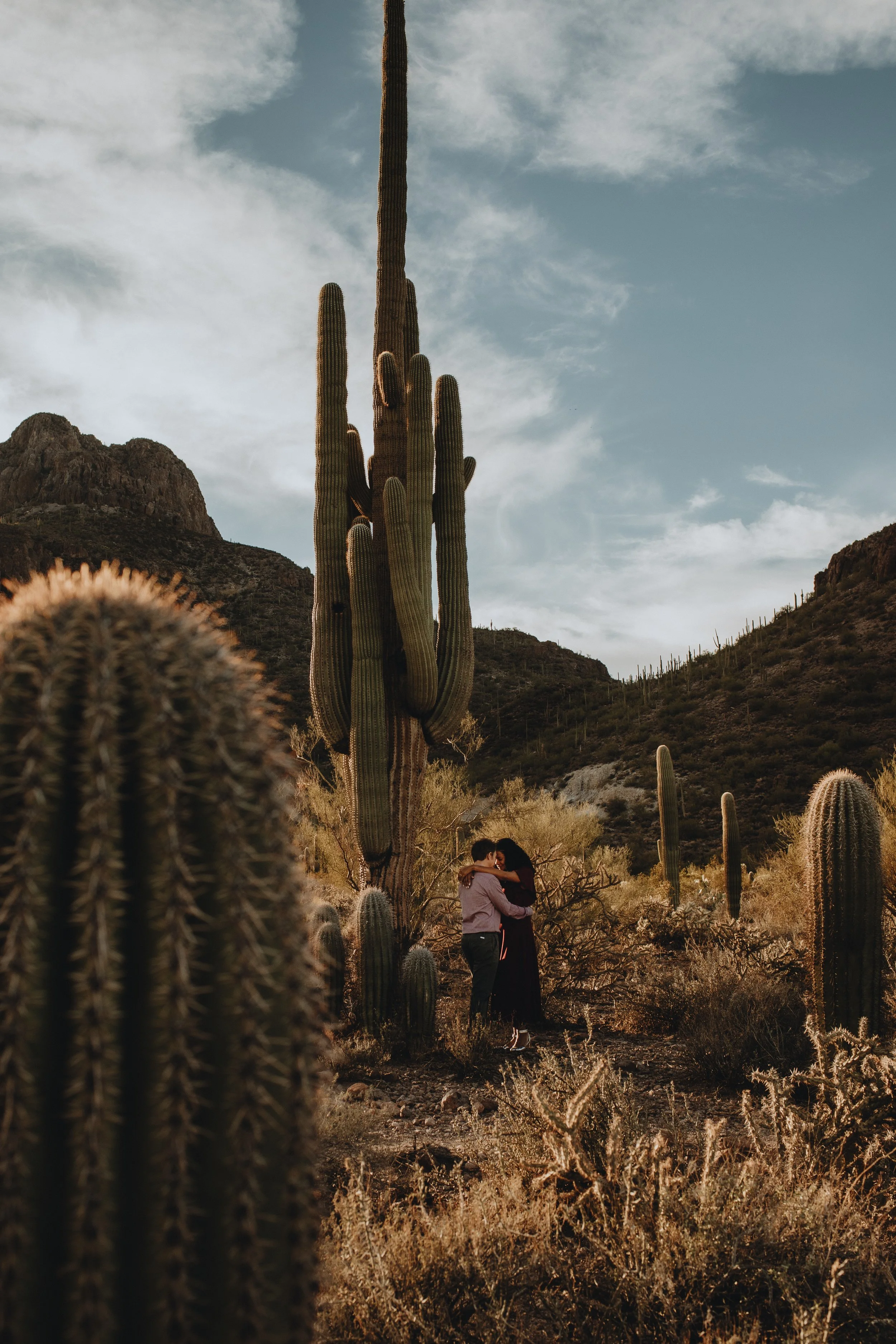 sonia & adam | for love with love | tucson, arizona