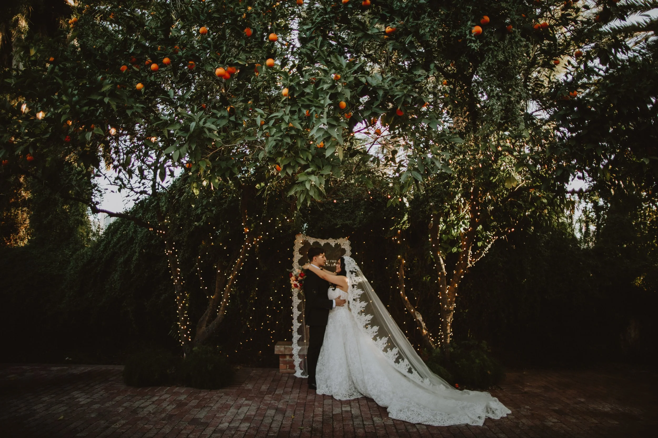 giovanna & manuel | for love with love | tucson arizona 