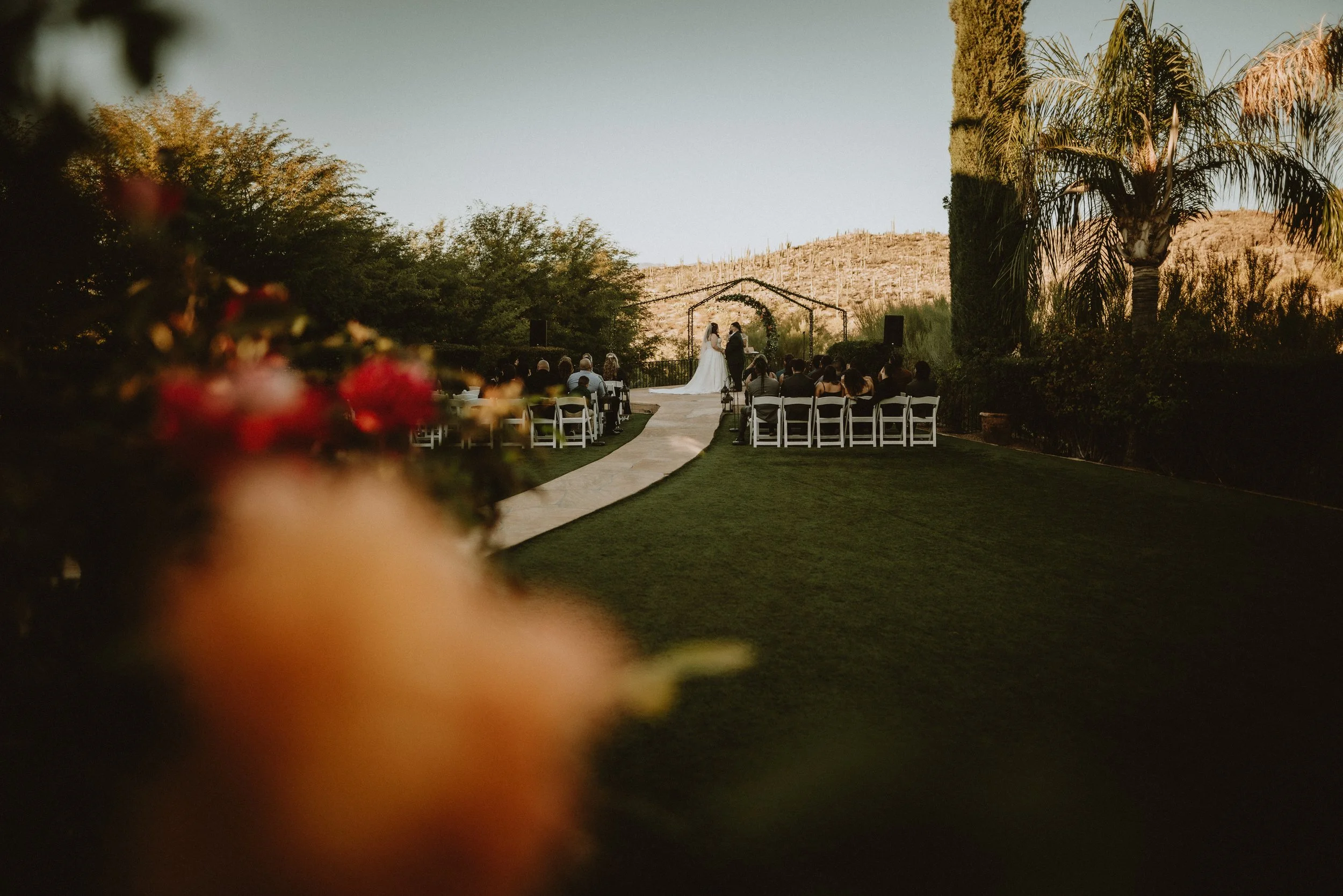 For Love With Love | Tucson Arizona