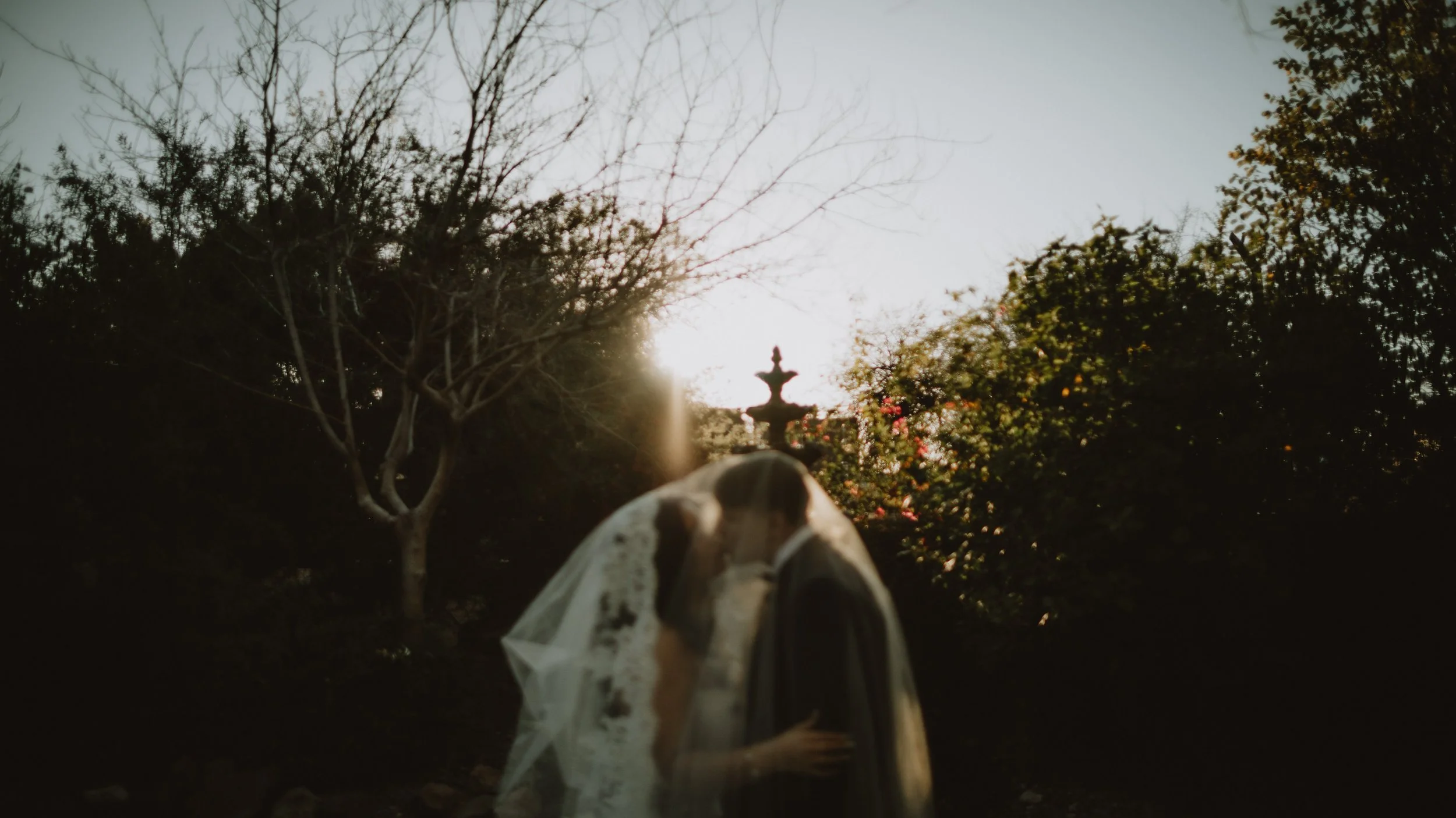 For Love With Love | Tucson Arizona