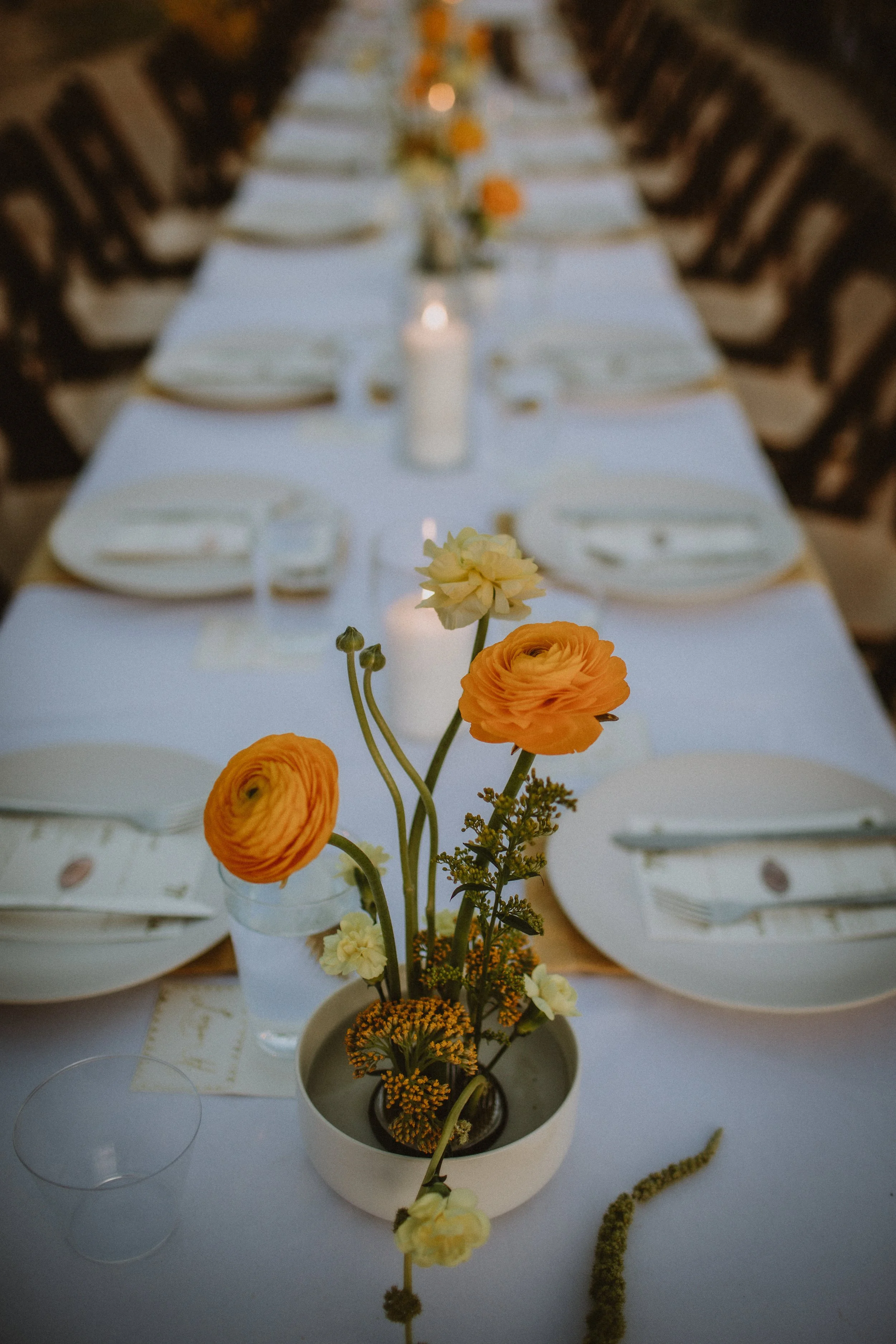 gina & blake's wedding | for love with love | tucson, arizona