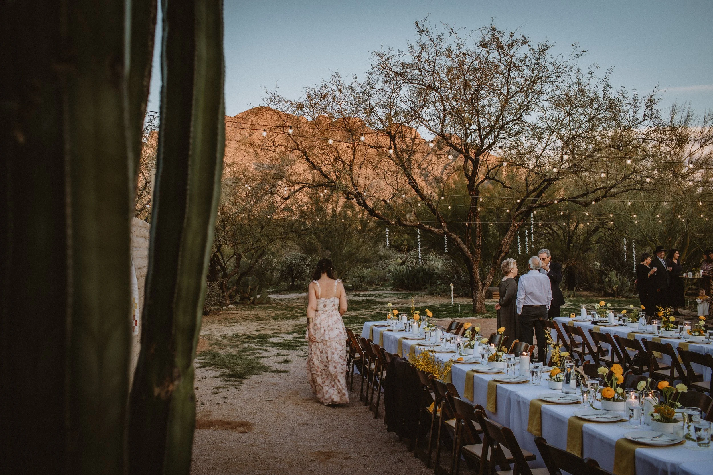 gina & blake's wedding | for love with love | tucson, arizona