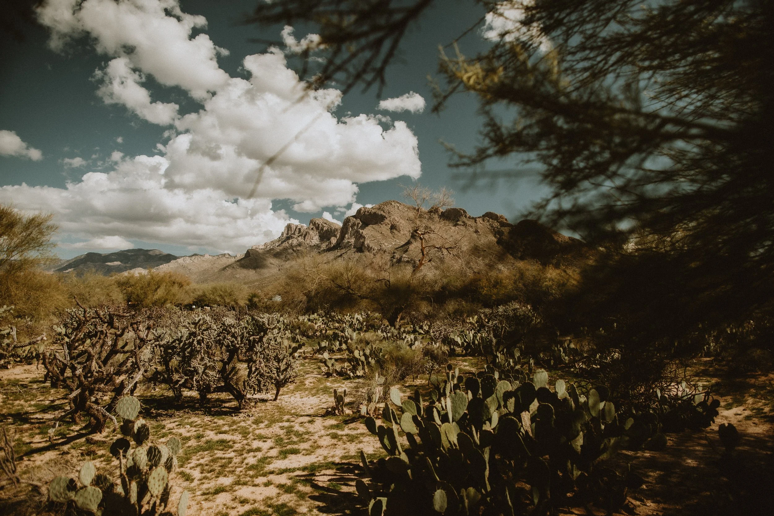 gina & blake's wedding | for love with love | tucson, arizona