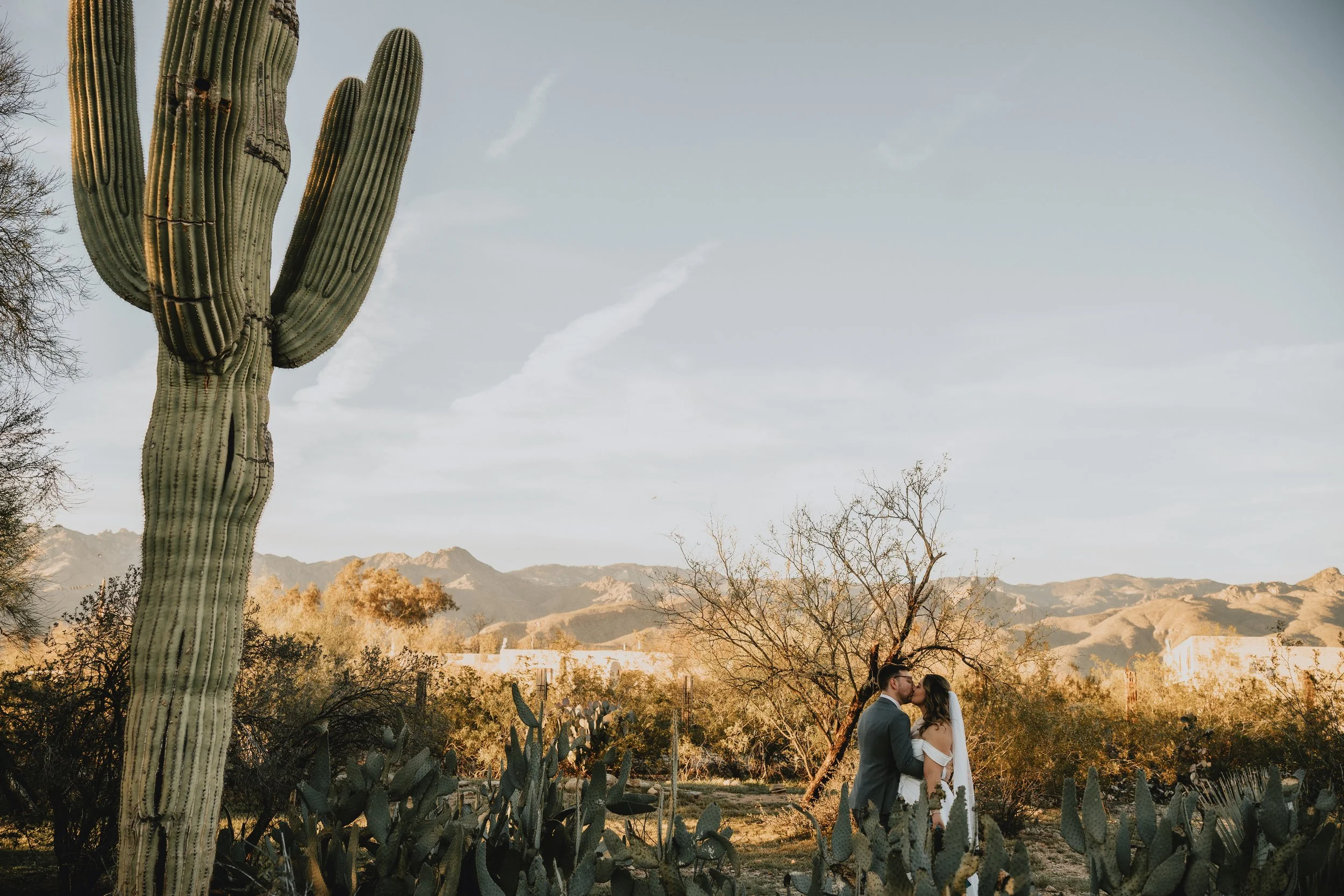 sierra & josh's wedding | for love with love | tucson, arizona 