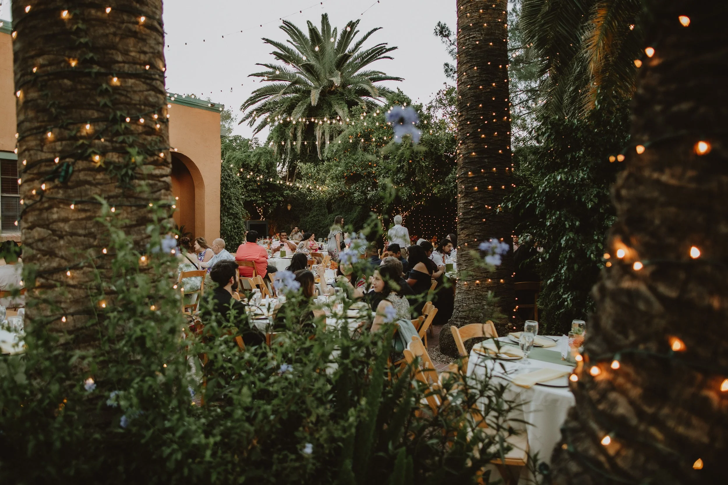 angie & cameron's wedding | for love with love | tucson arizona