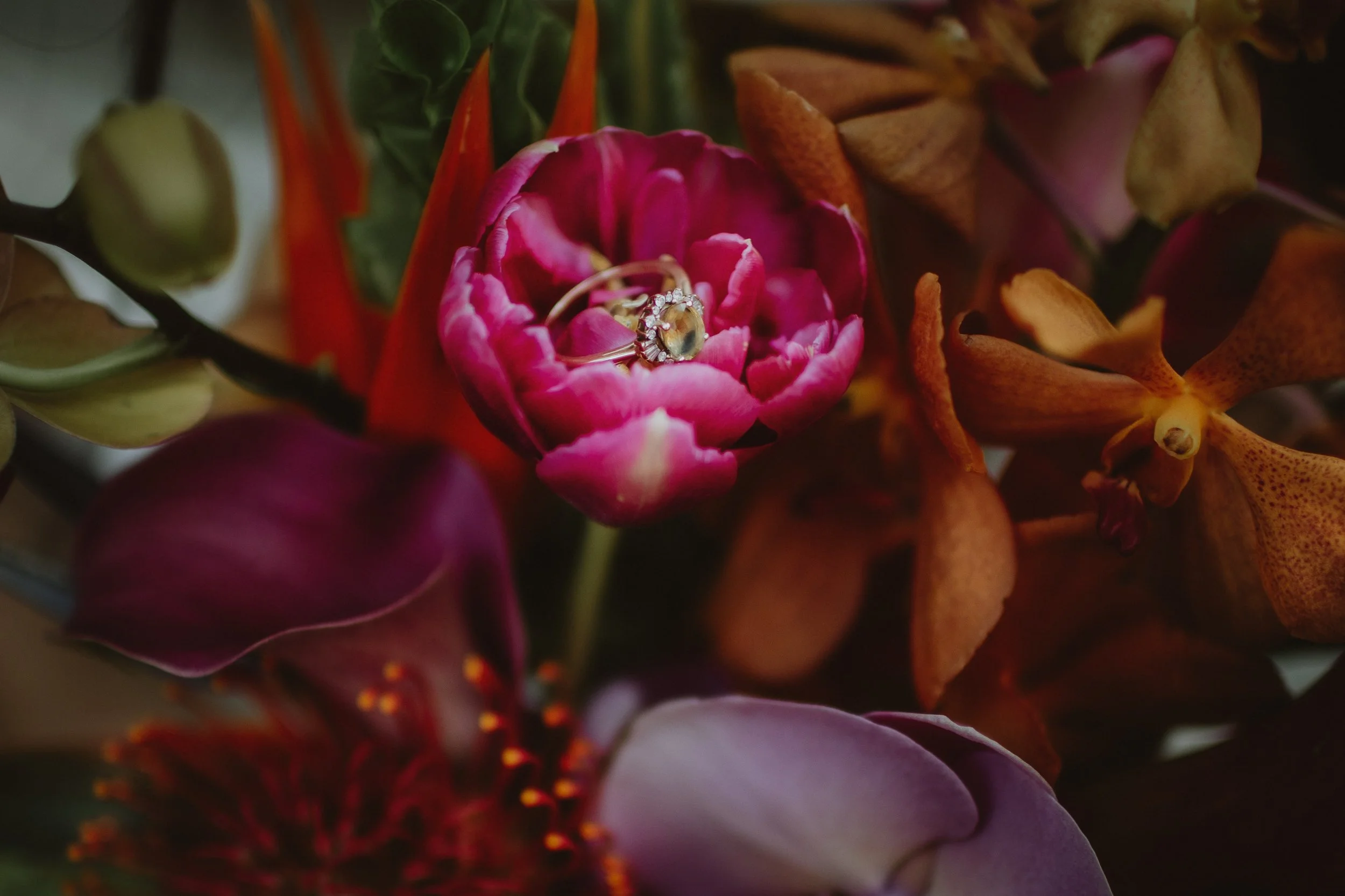 For Love With Love | Tucson Arizona