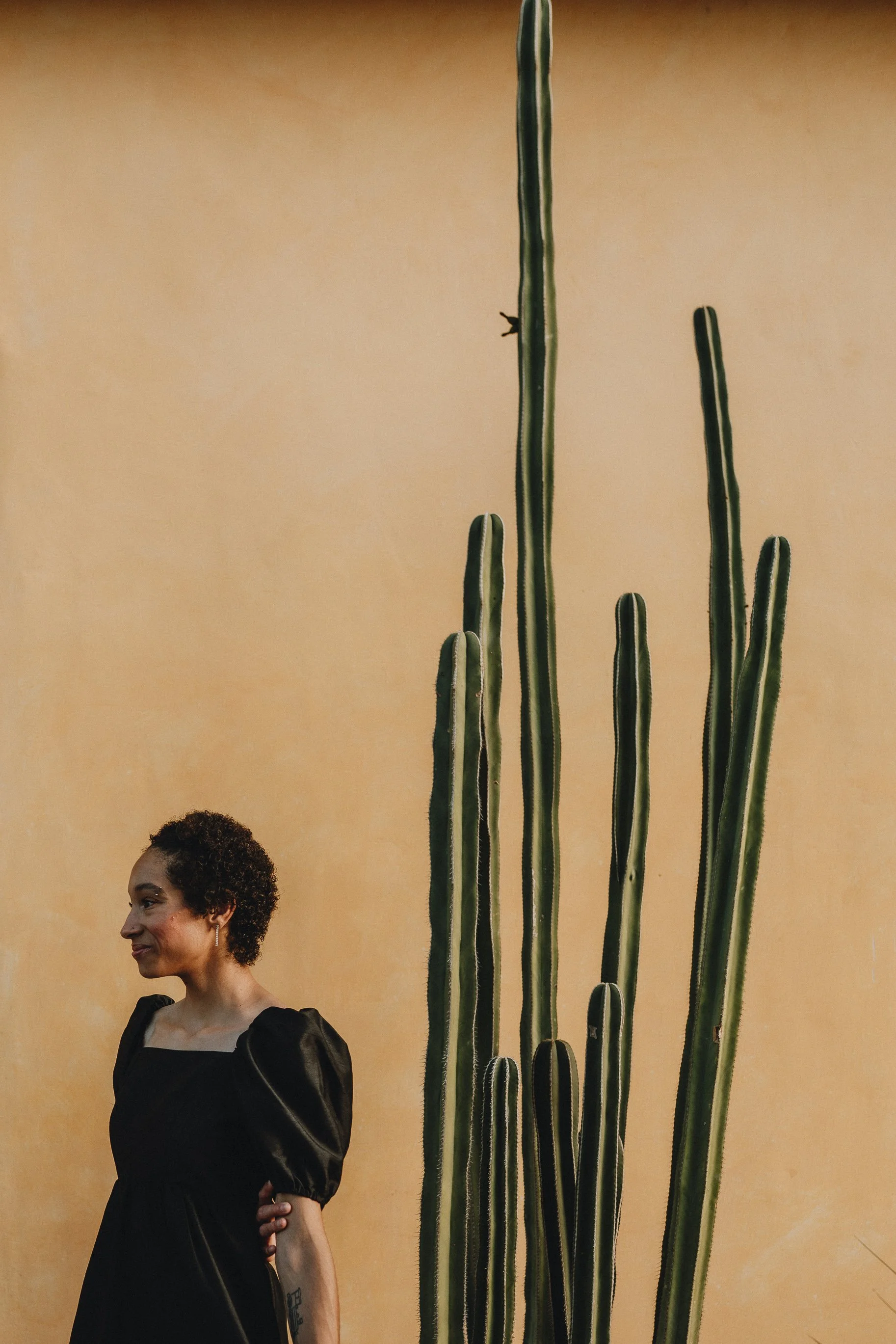 for love with love | tucson arizona