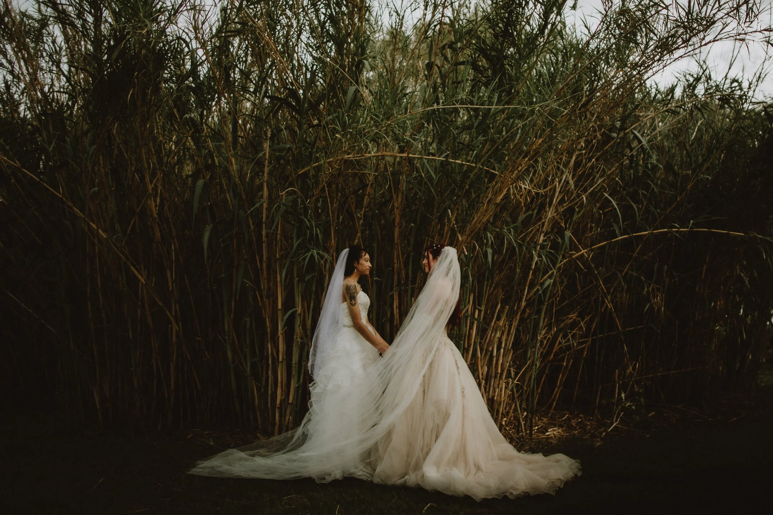 natasha & willow | for love with love | tucson arizona