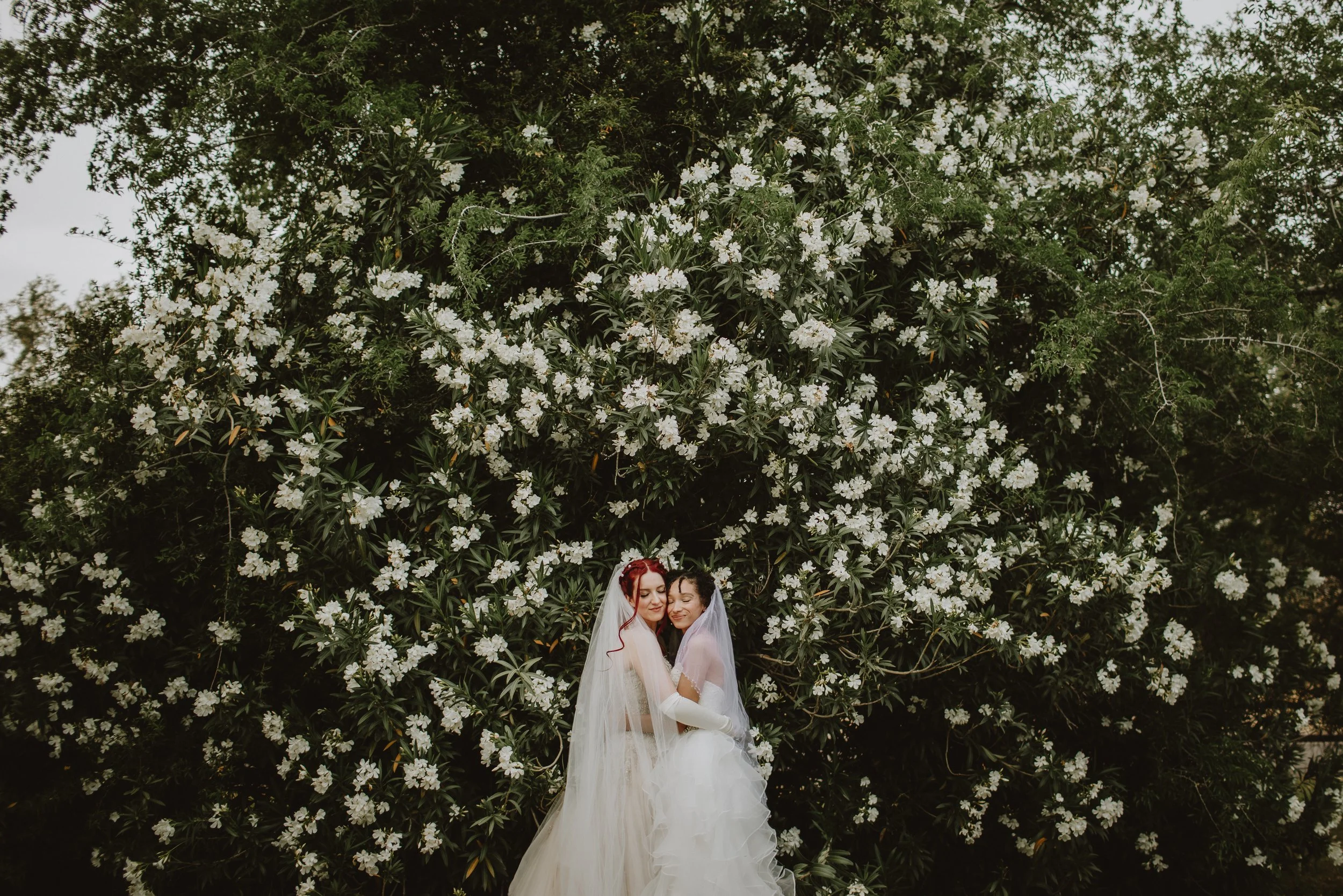 natasha & willow | for love with love | tucson arizona