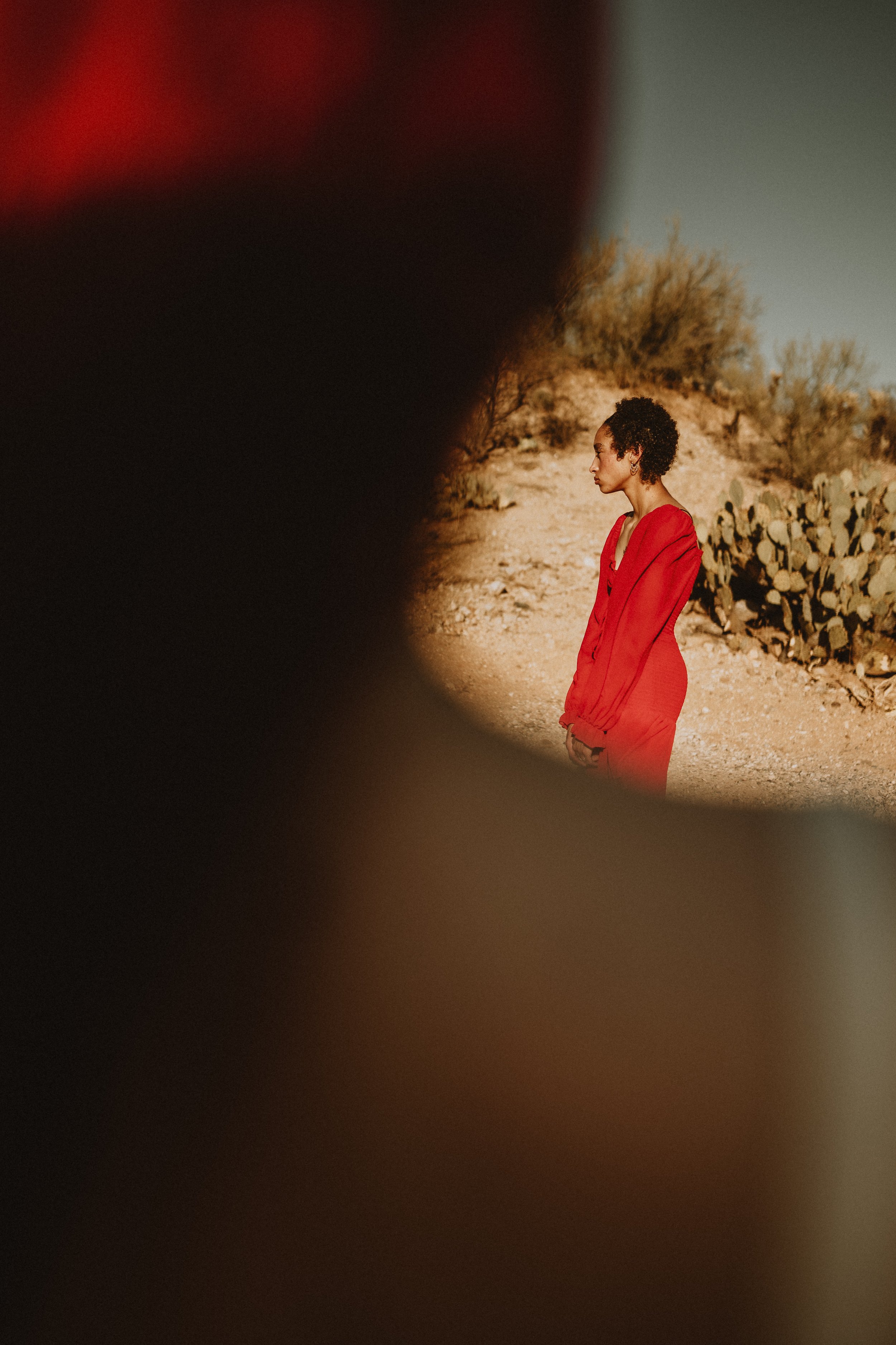 for love with love | tucson arizona