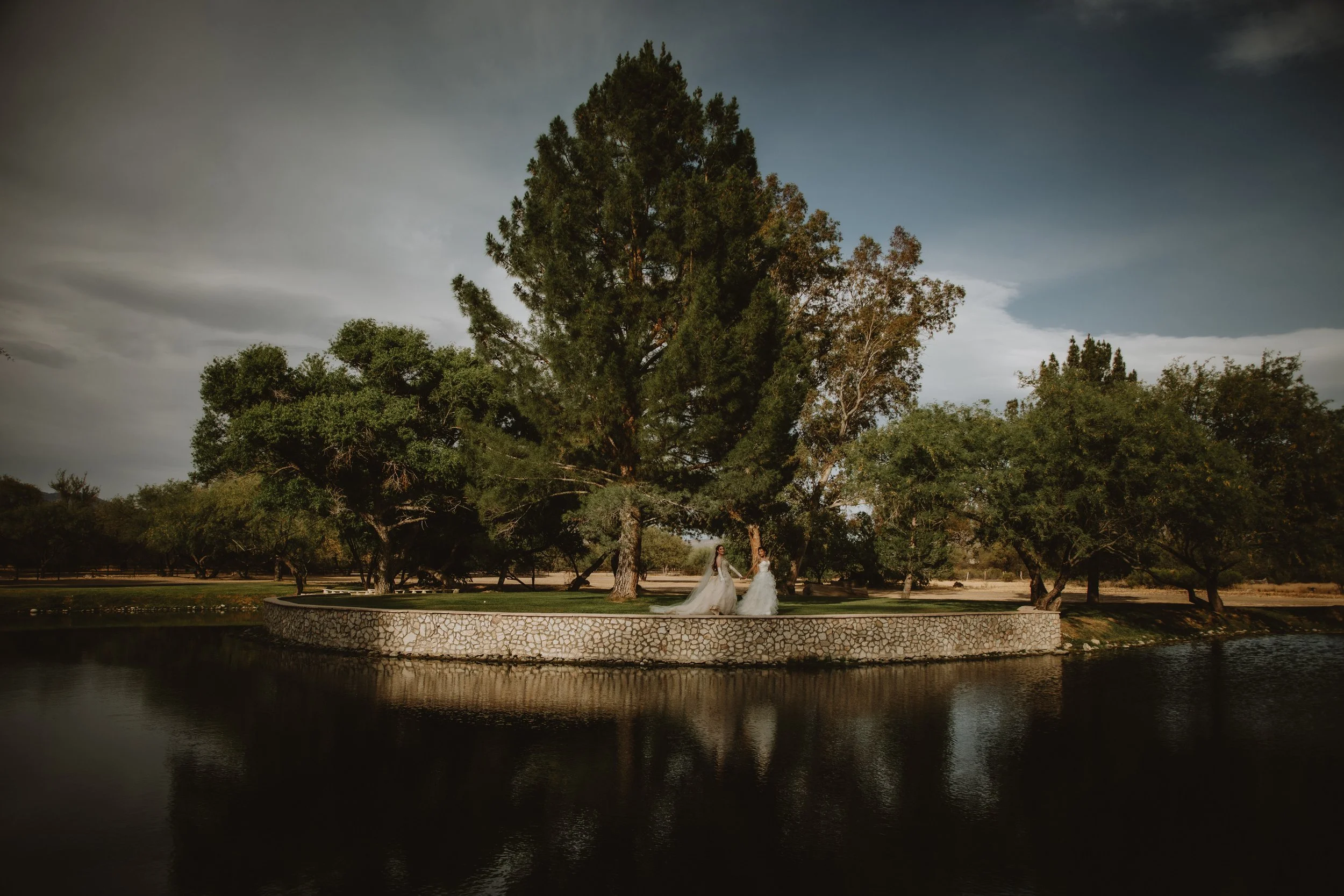 natasha & willow wedding | for love with love | tucson arizona