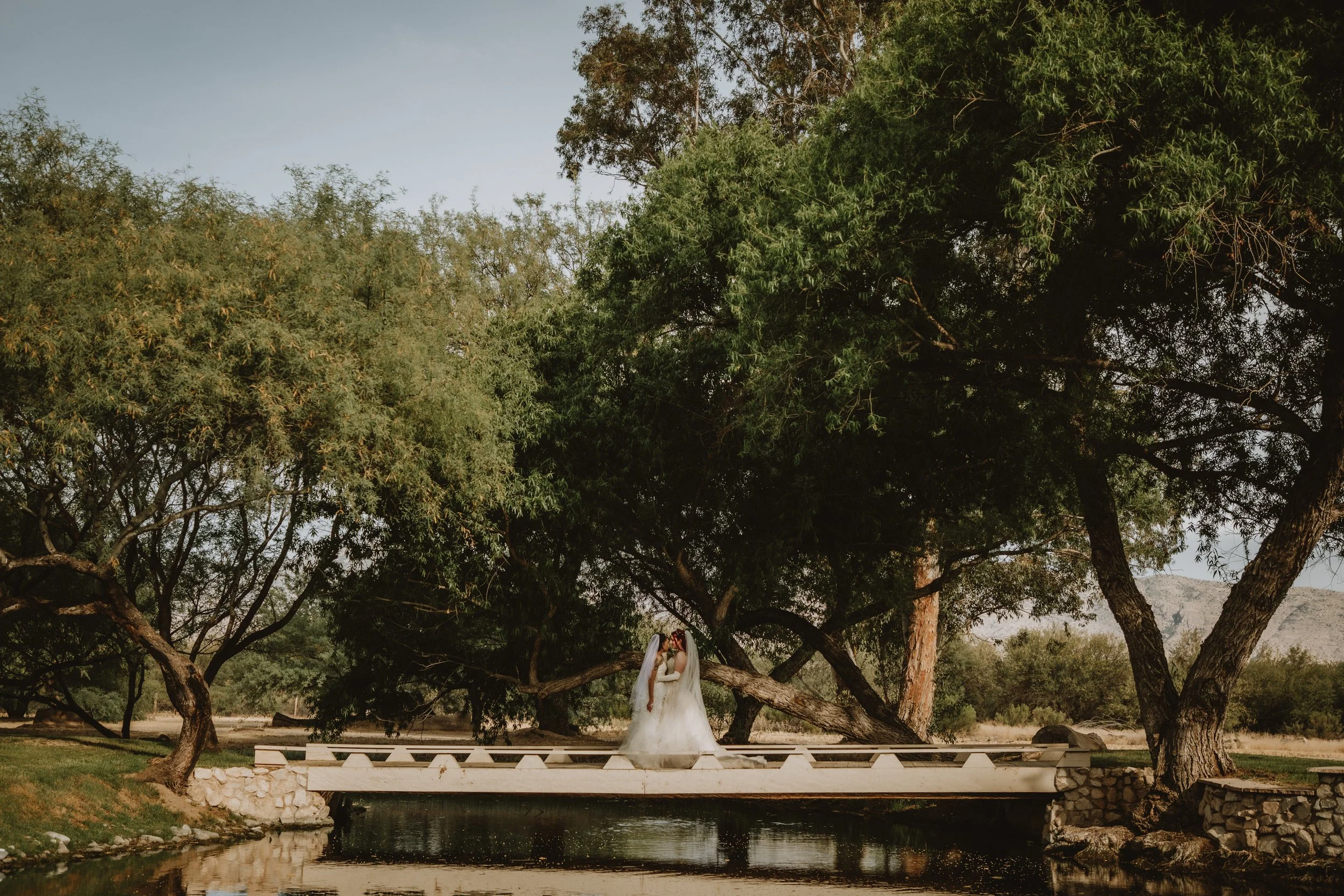 natasha & willow wedding | for love with love | tucson arizona