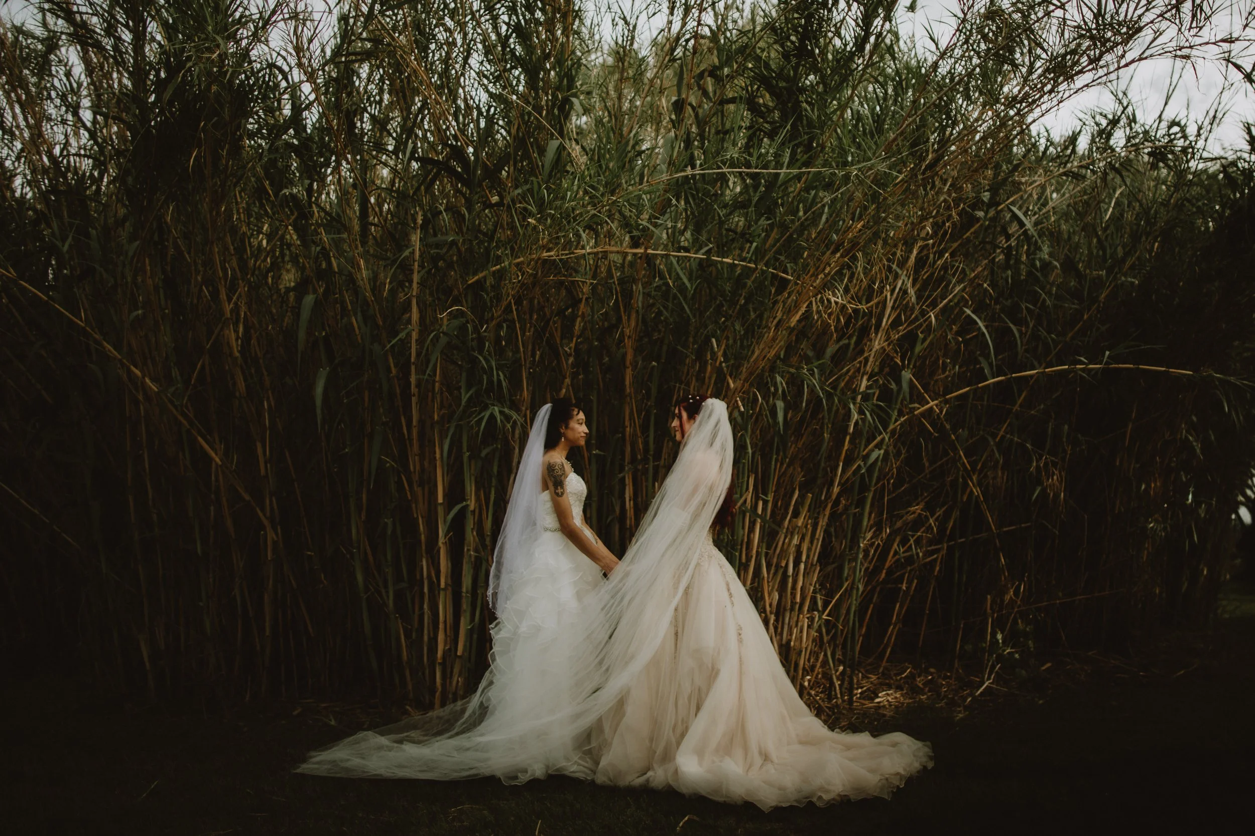 natasha & willow wedding | for love with love | tucson arizona