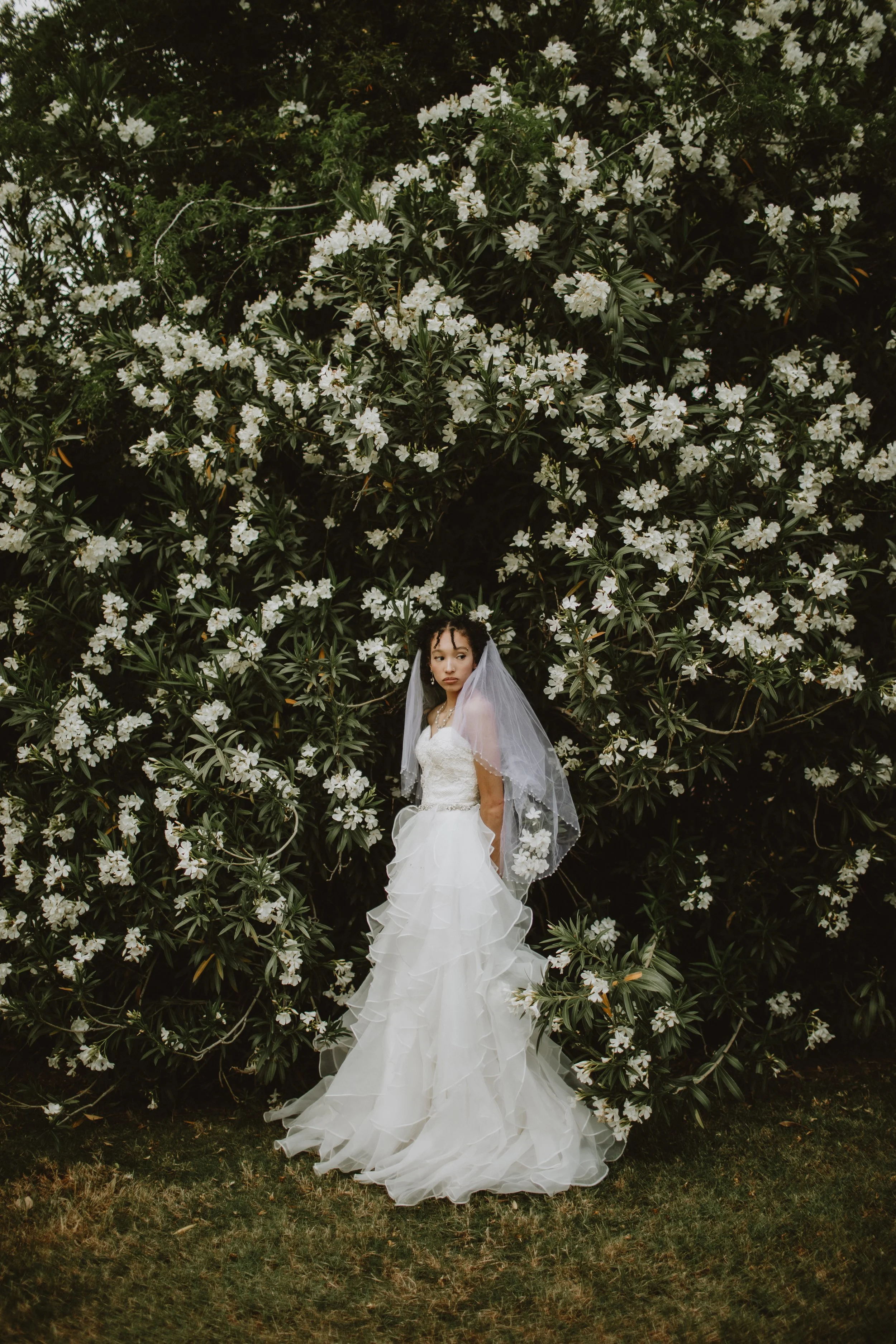 natasha & willow wedding | for love with love | tucson arizona