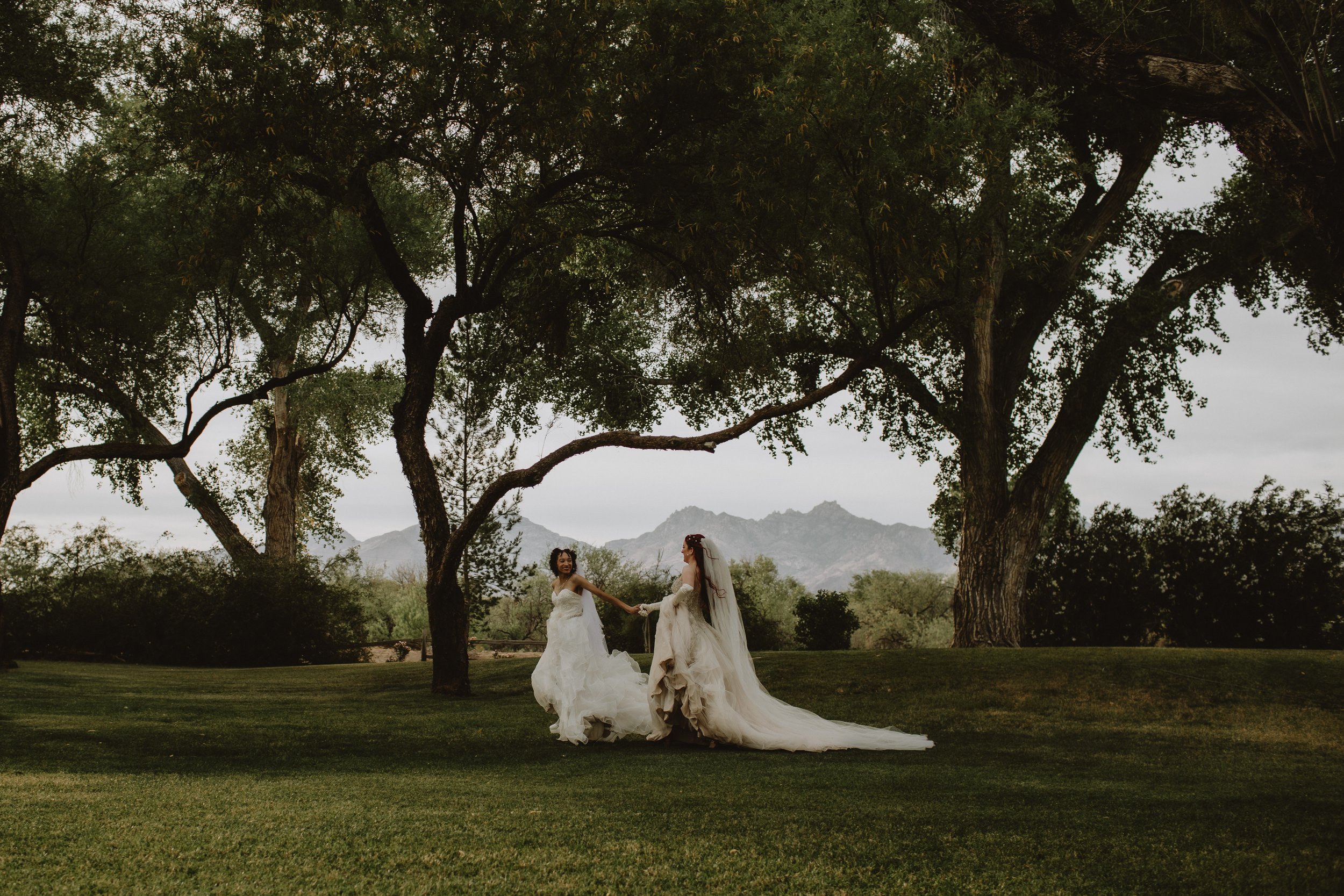 natasha & willow wedding | for love with love | tucson arizona