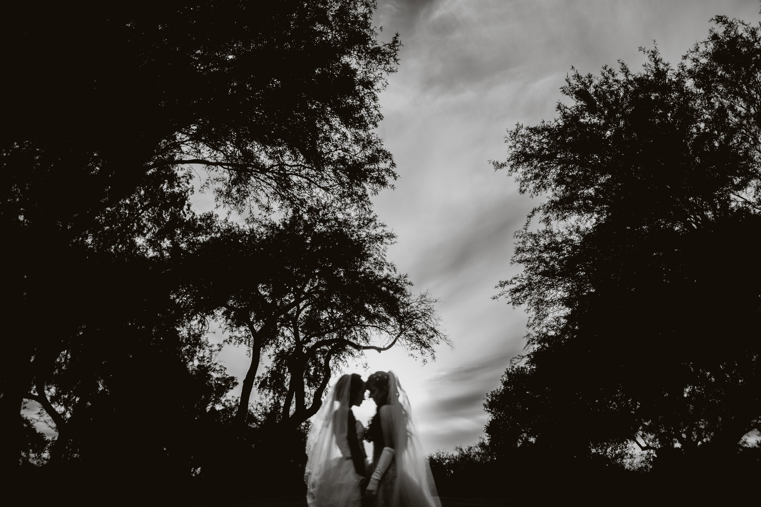natasha & willow wedding | for love with love | tucson arizona