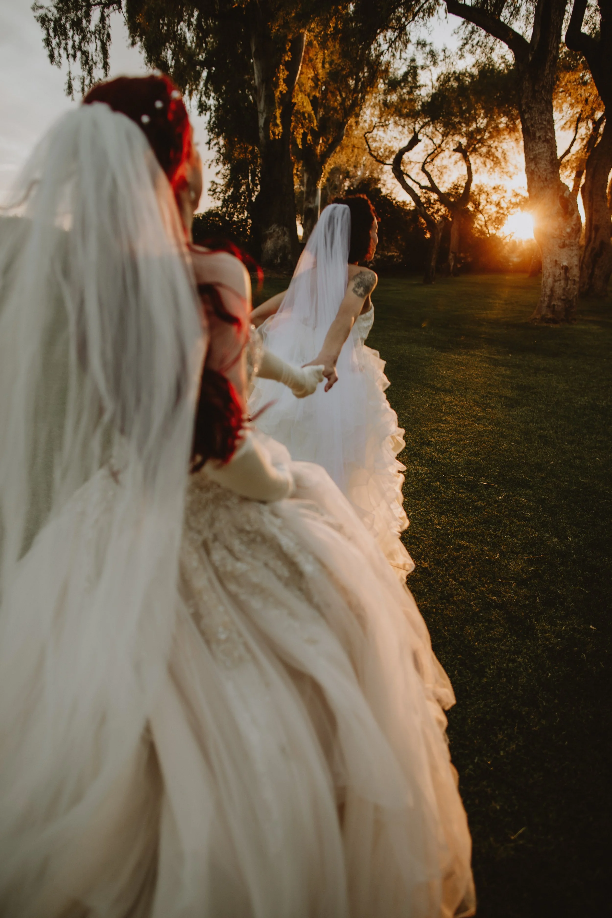natasha & willow wedding | for love with love | tucson arizona