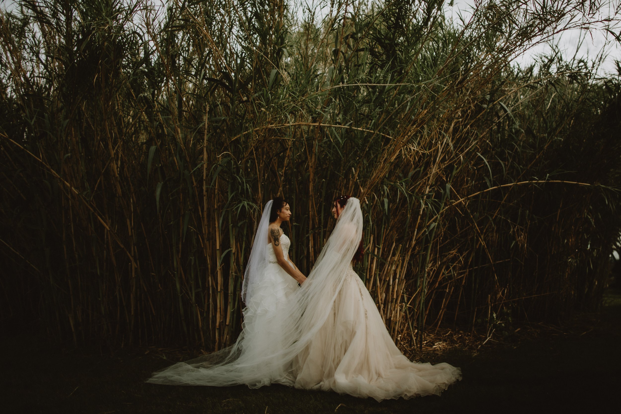 For Love With Love Documentary Wedding Photography | Tucson Arizona
