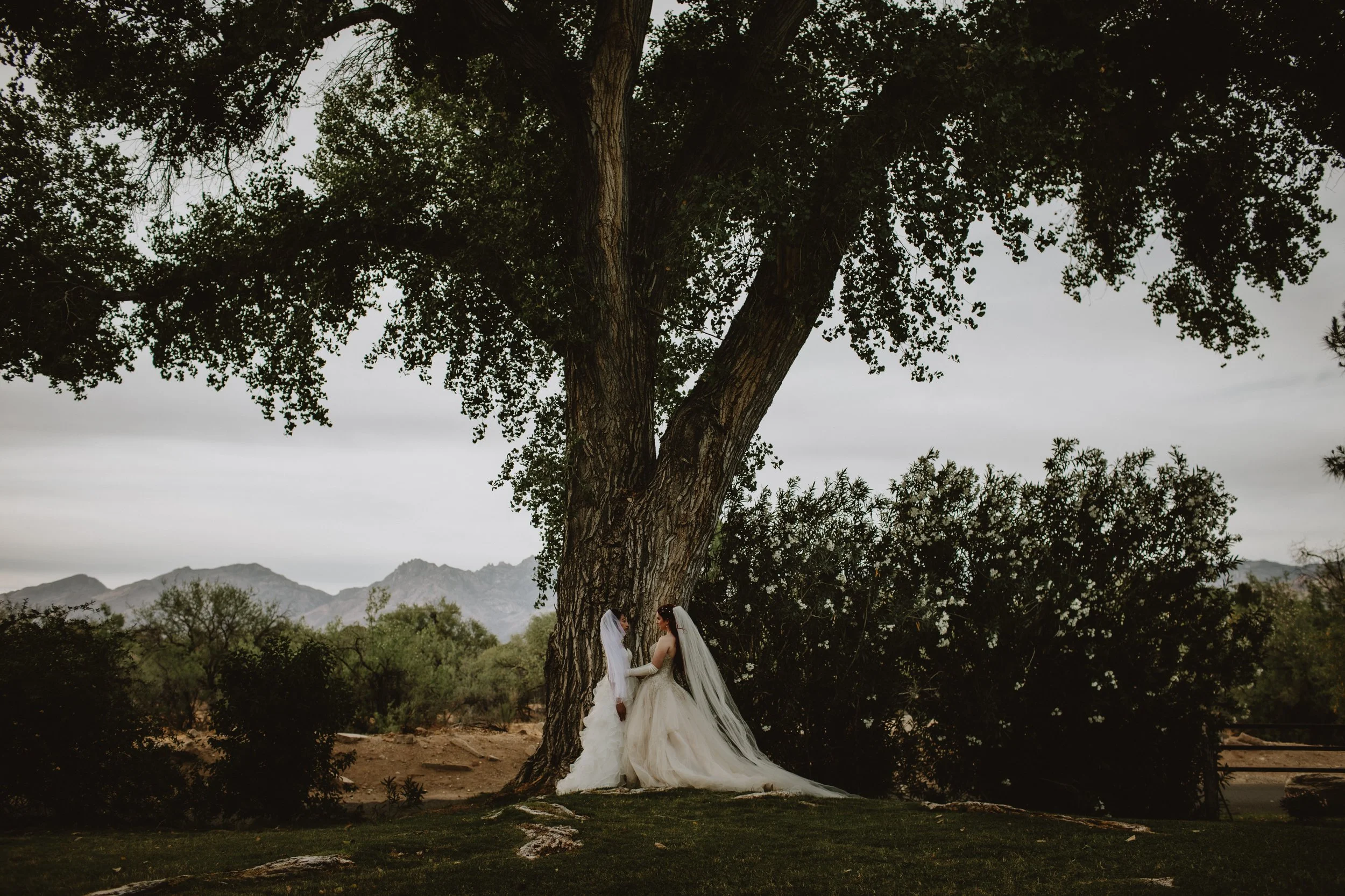Mark Peterson & For Love With Love Documentary Wedding Photography | Tucson Arizona-3.jpg