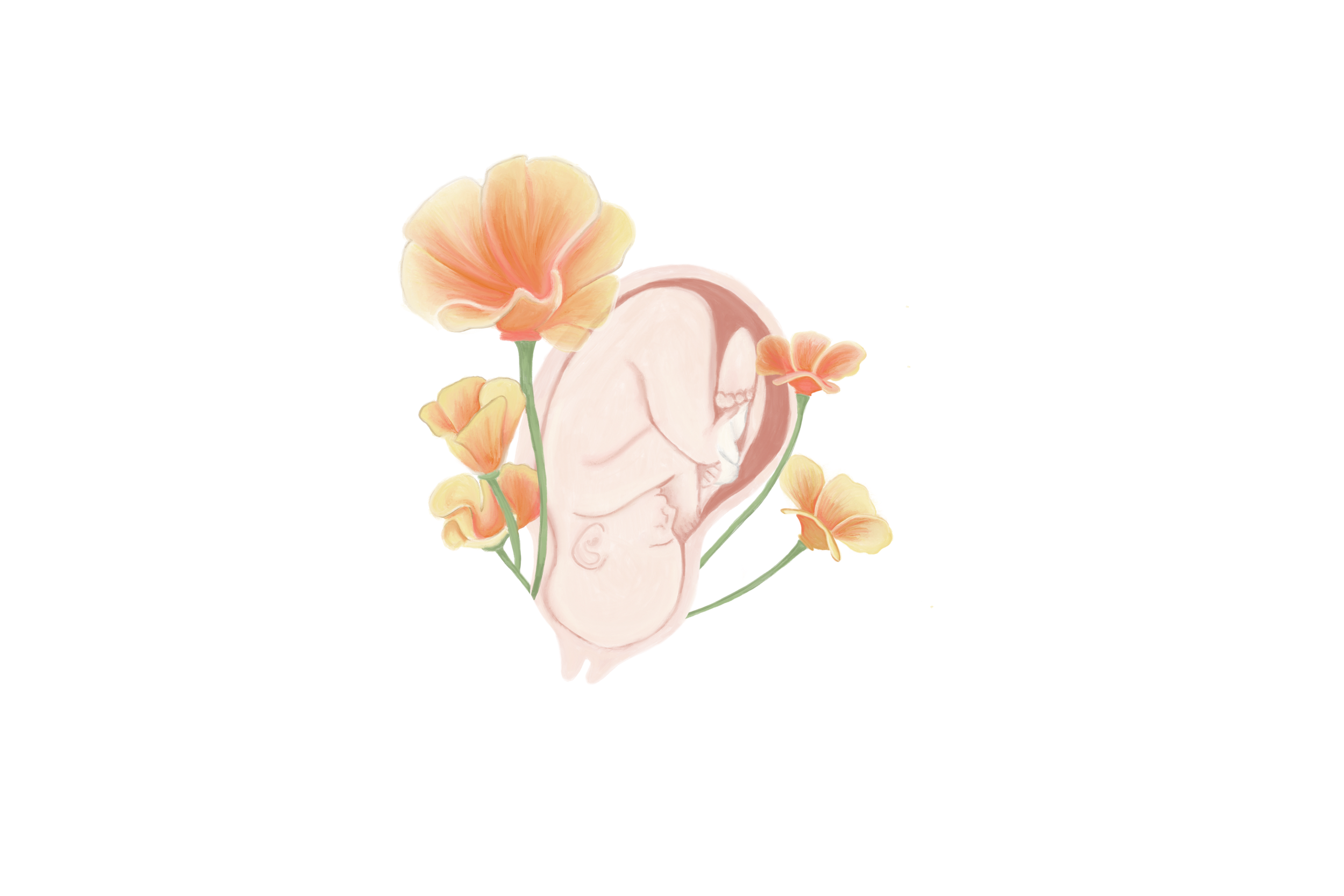 Untitled_Artwork.png