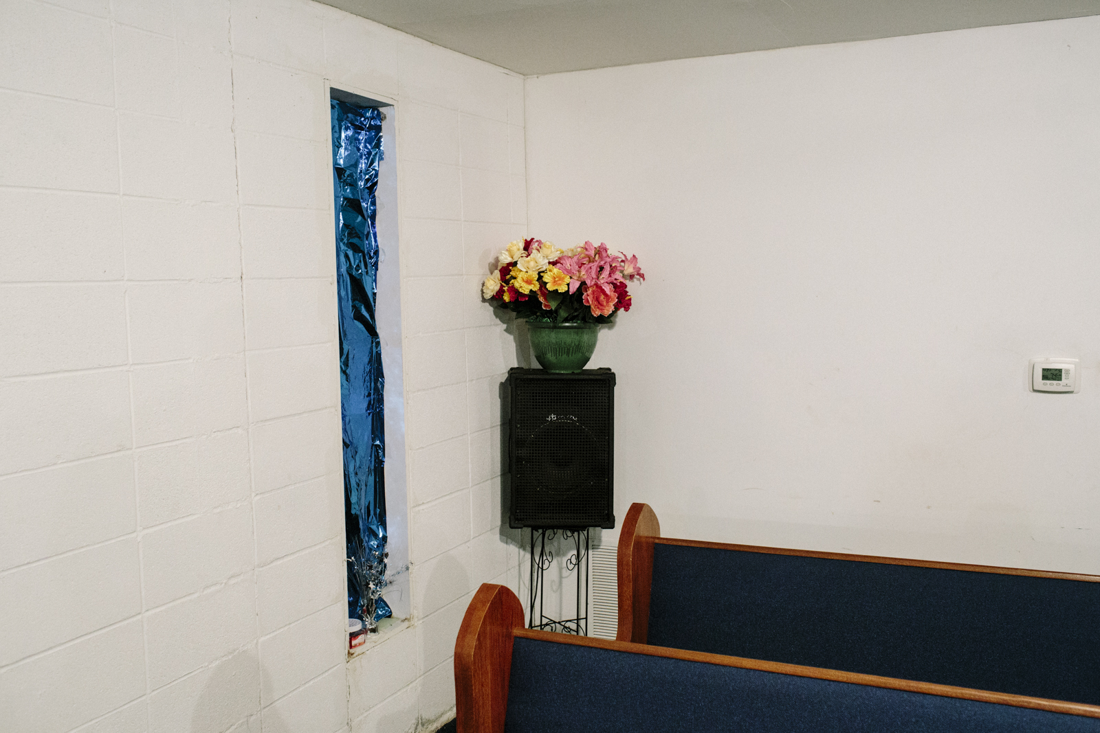 William_Widmer_PineBluff-6.jpg